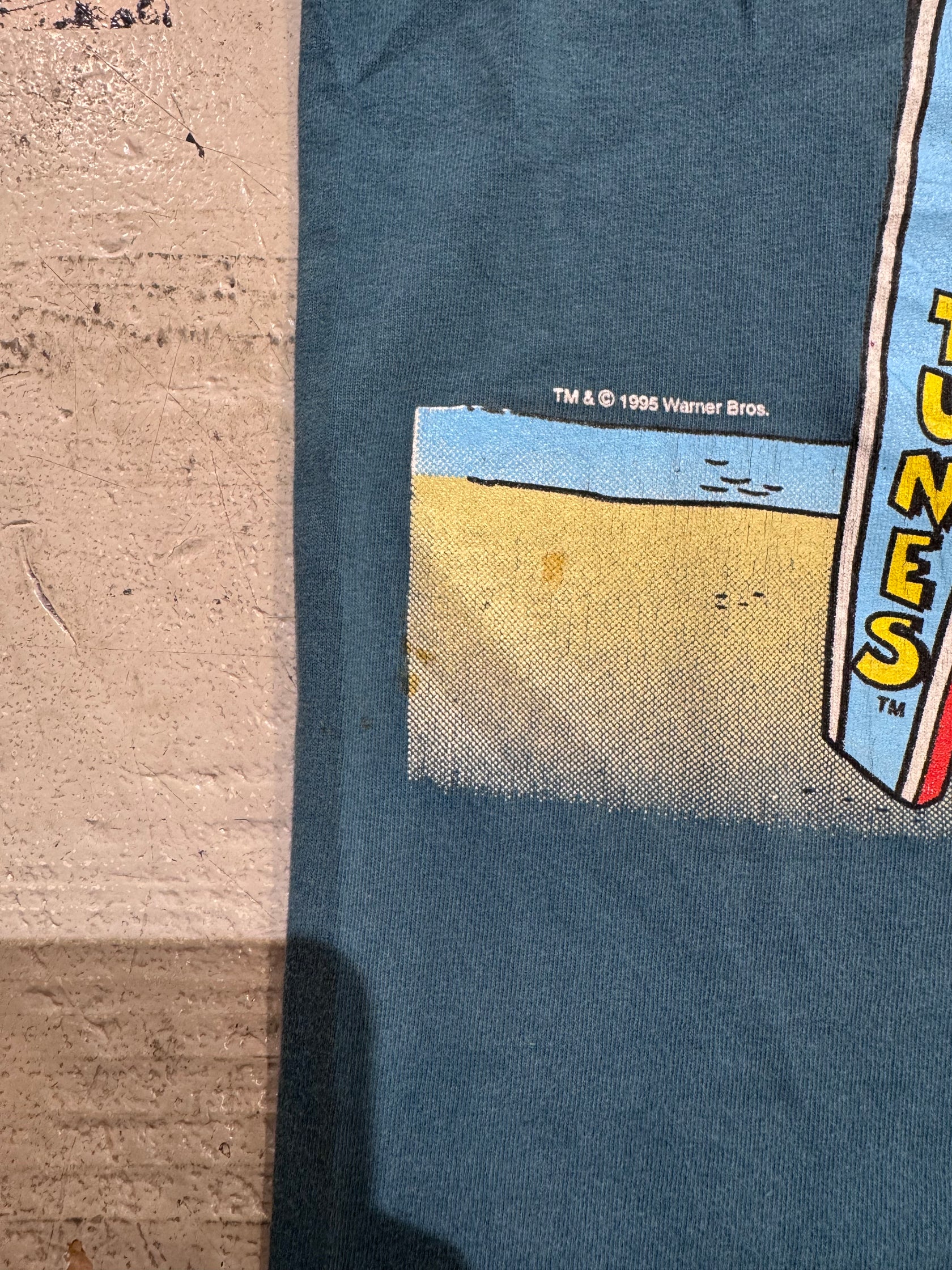 90’s LOONEY TUNES 「Wisconsin Dells」USA製 キャラクターTシャツ