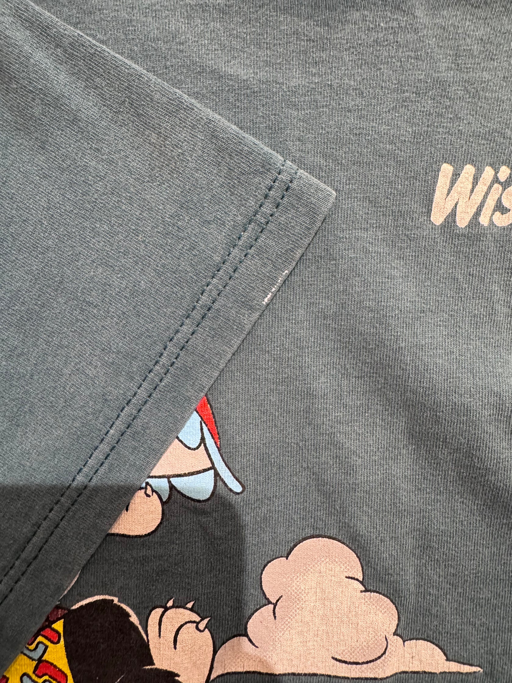 90’s LOONEY TUNES 「Wisconsin Dells」USA製 キャラクターTシャツ