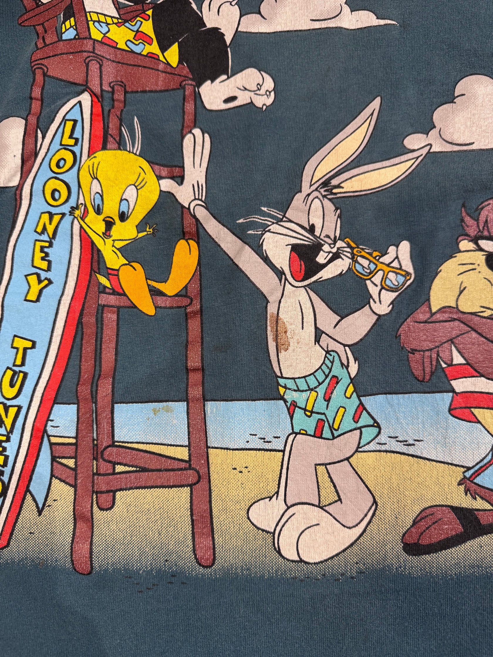 90’s LOONEY TUNES 「Wisconsin Dells」USA製 キャラクターTシャツ