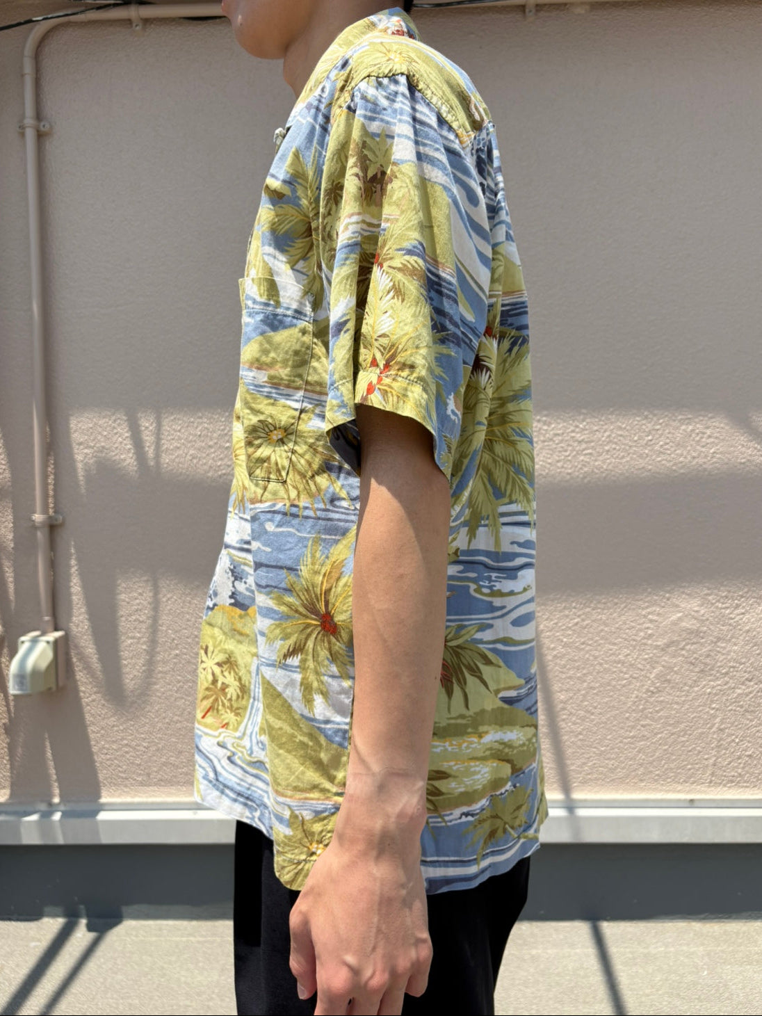 00’s PATAGONIA「Pataloha Hula Girl & Palm Trees」アロハシャツ