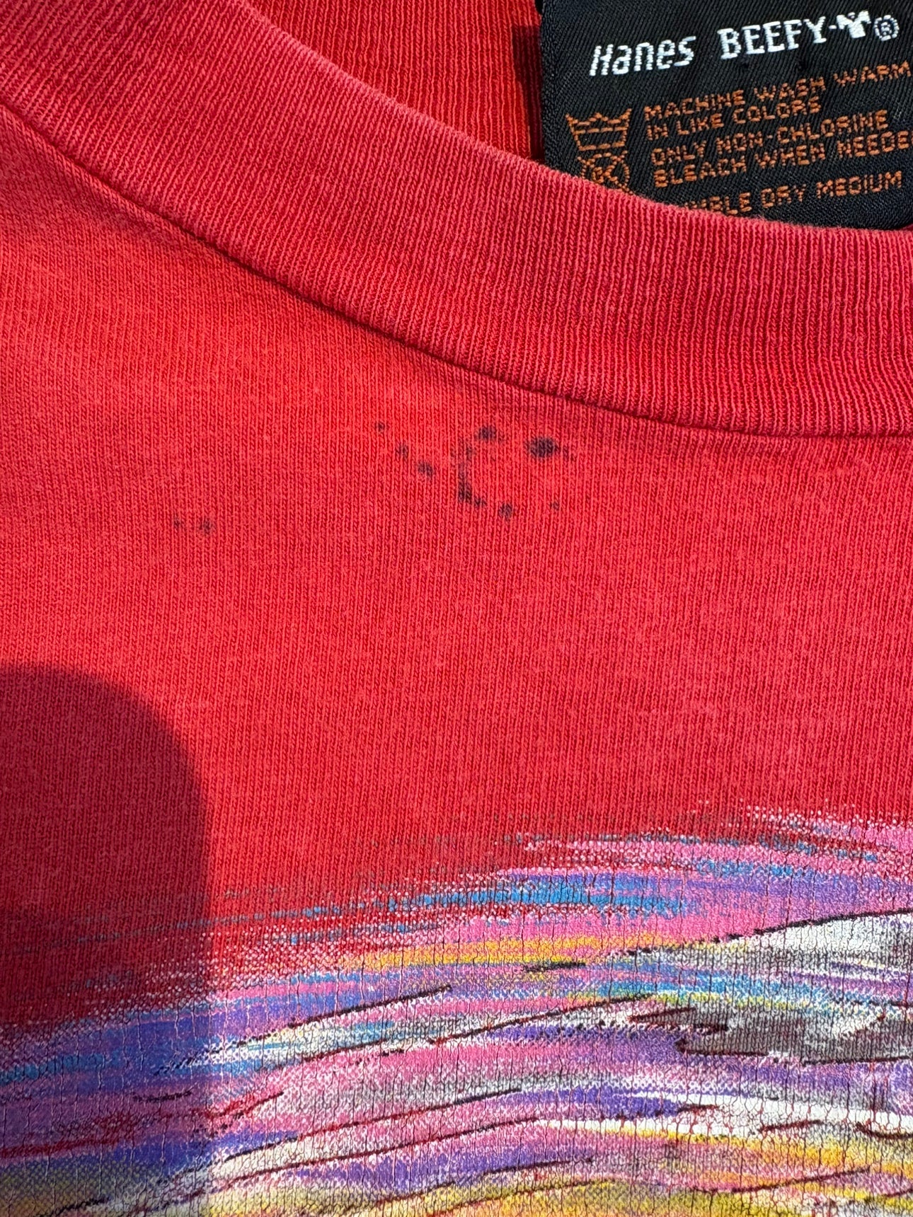 90's HARLEY-DAVIDSON「Black Hills Eagle」ハーレーTシャツ