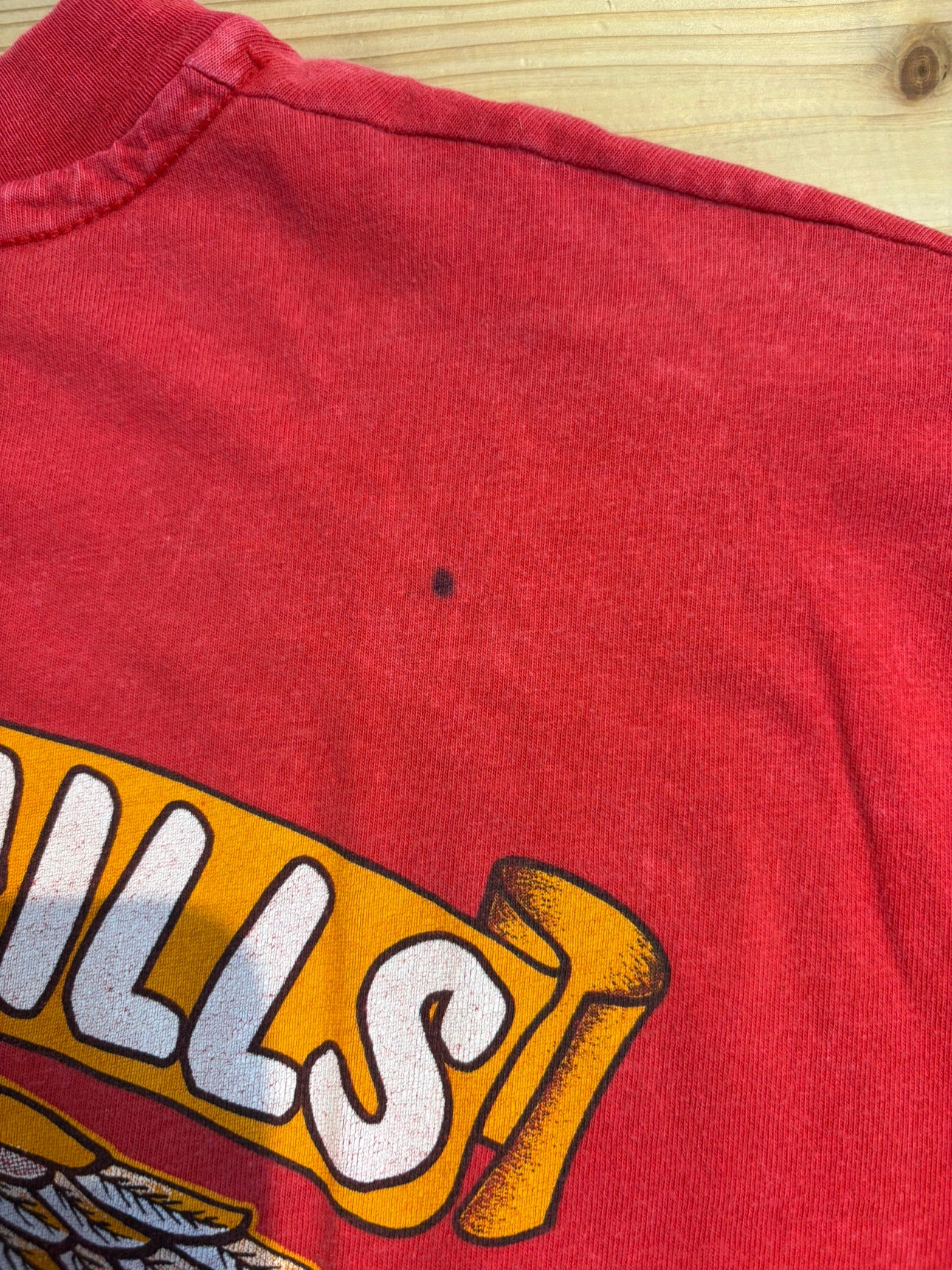 90's HARLEY-DAVIDSON「Black Hills Eagle」ハーレーTシャツ