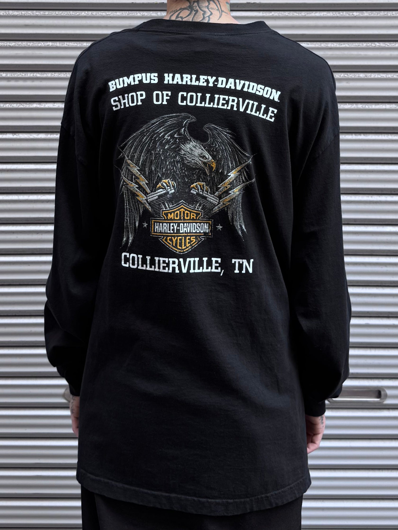 00's Harley Davidson「Eagle」ハーレーTシャツ