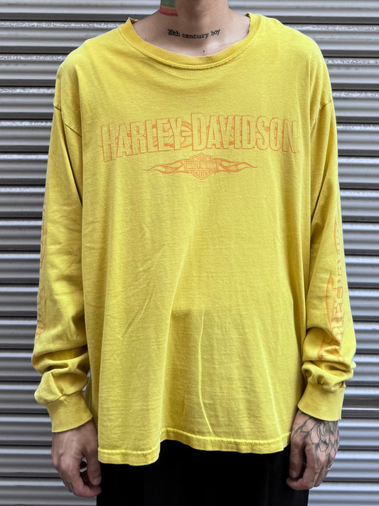 00's Harley Davidson 「HAMILTON」ハーレーTシャツ