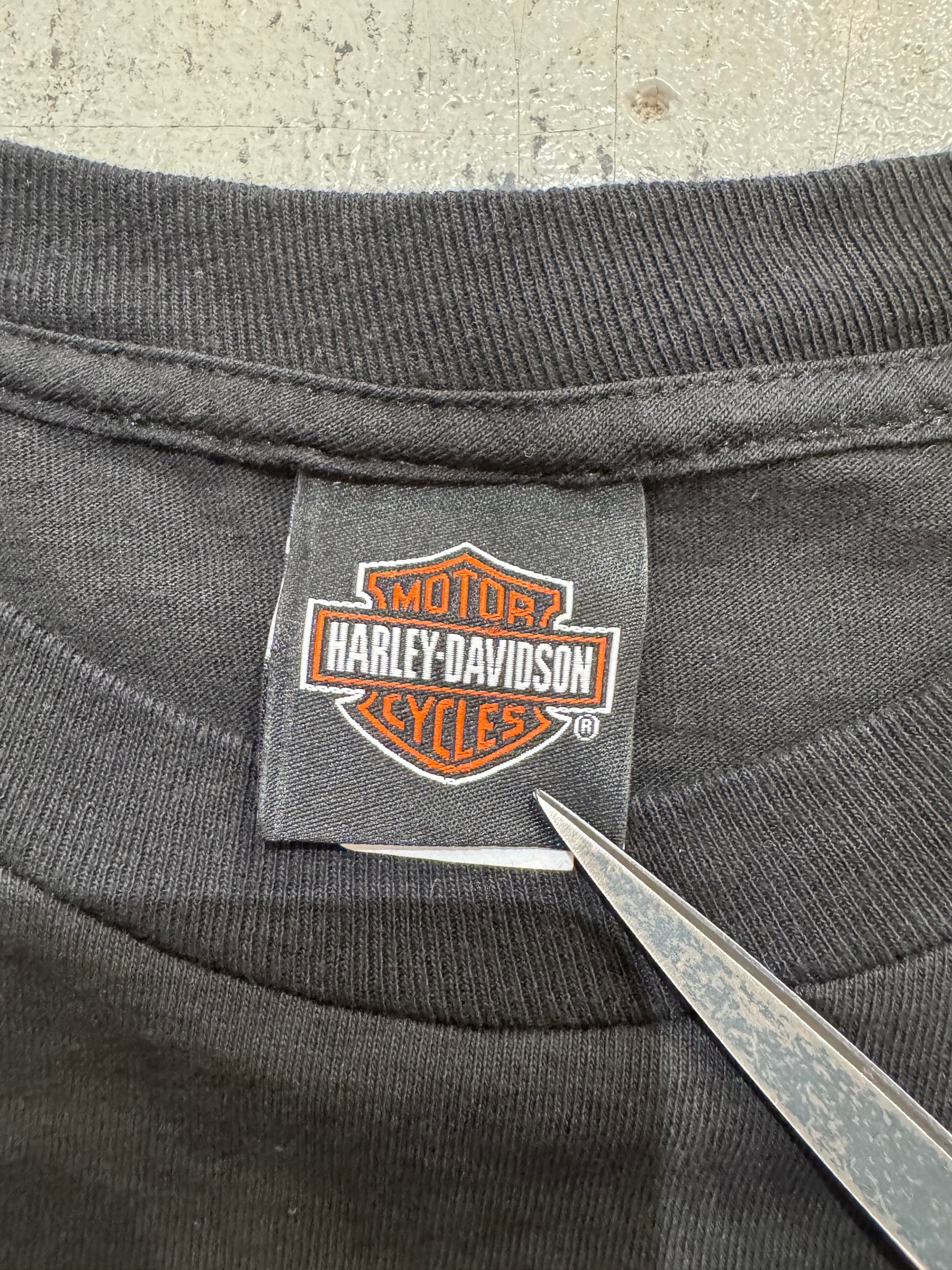 00's Harley Davidson「Eagle」ハーレーTシャツ