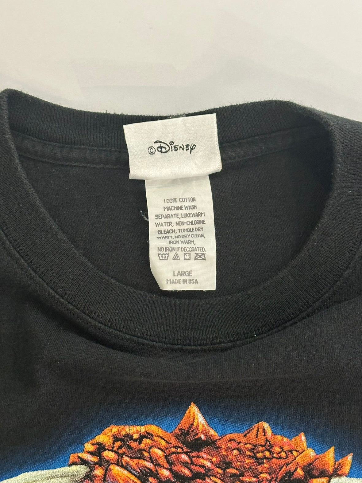 90's DISNEY 「Animal Kingdom」USA製 キャラクターTシャツ