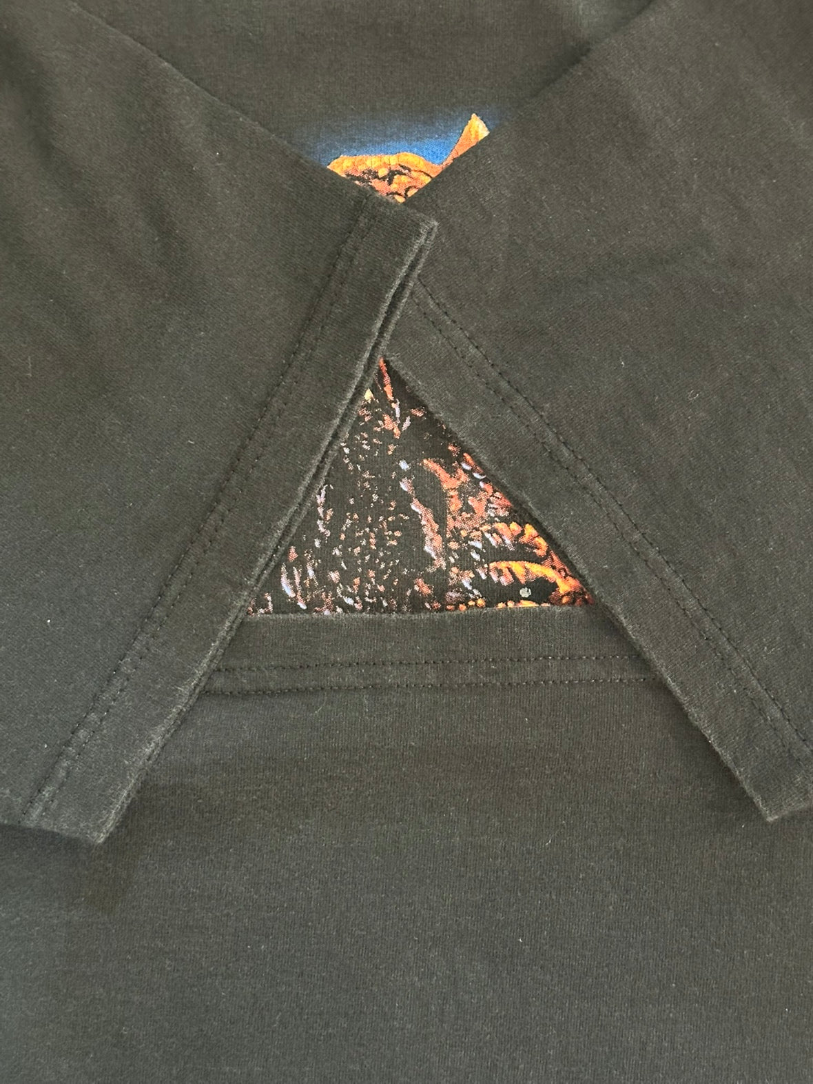 90's DISNEY 「Animal Kingdom」USA製 キャラクターTシャツ