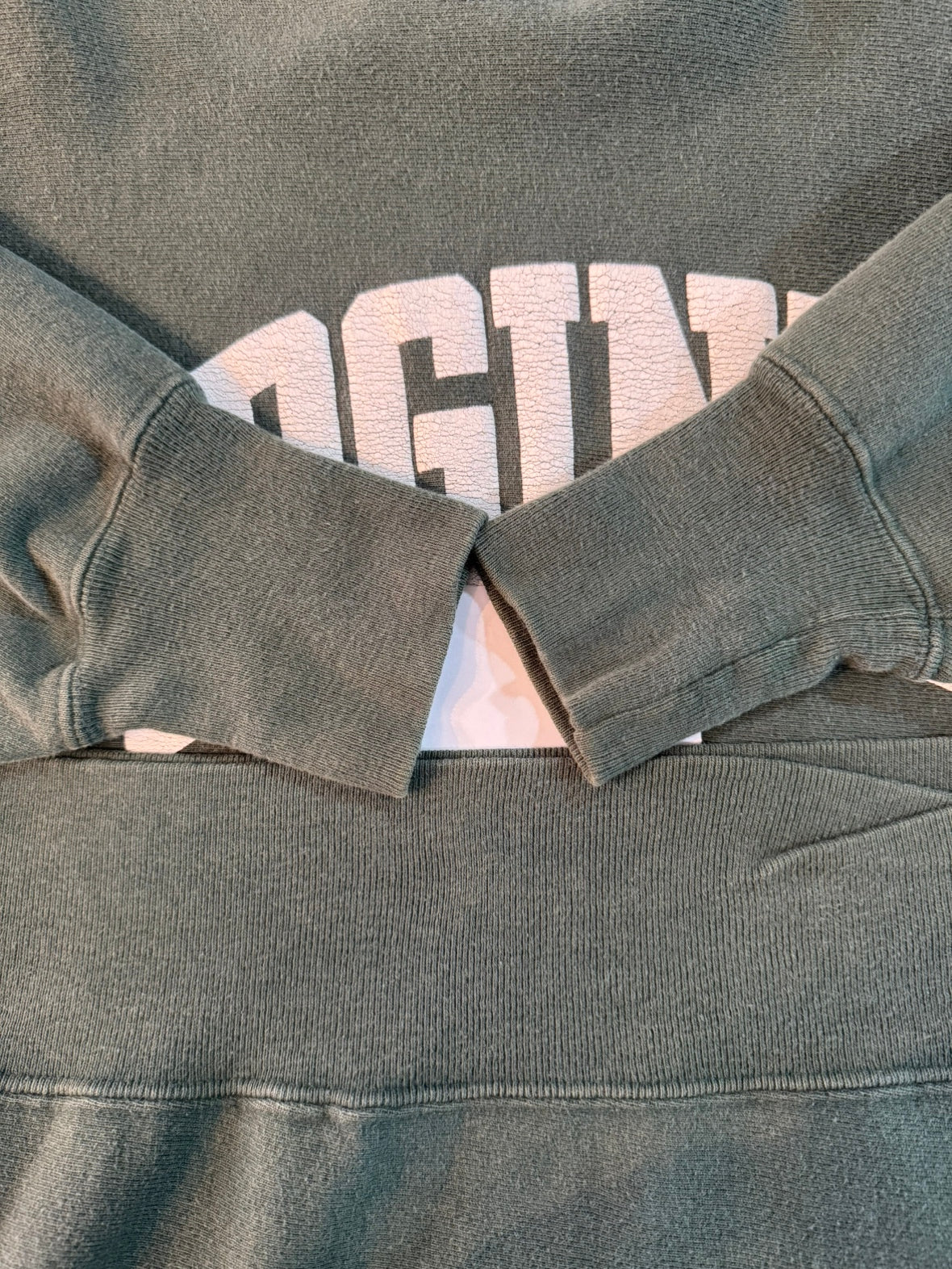 90's CHAMPION REVERS WEAVE "VIRGINIA"スウェット