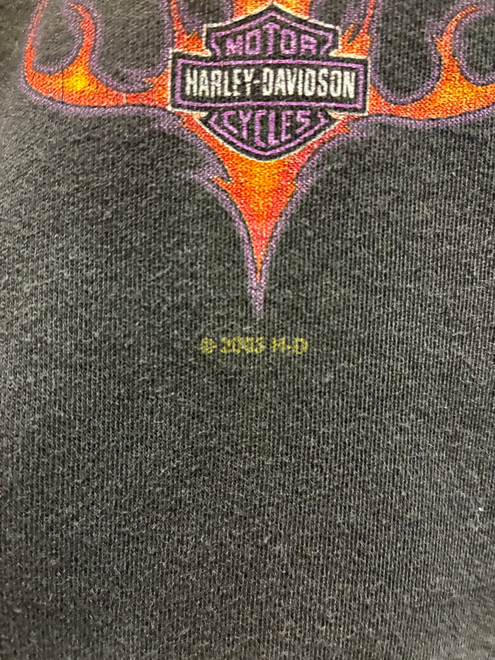 00's「Harley Davidson」ハーレーTシャツ