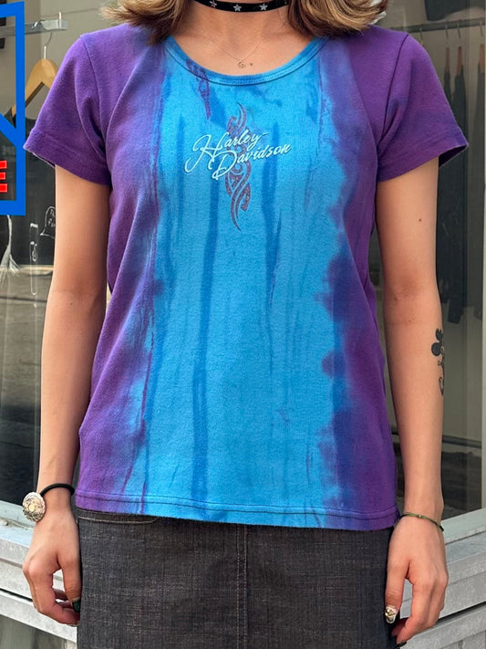 00's HARLEY-DAVIDSON 「Low country」ハーレーTシャツ