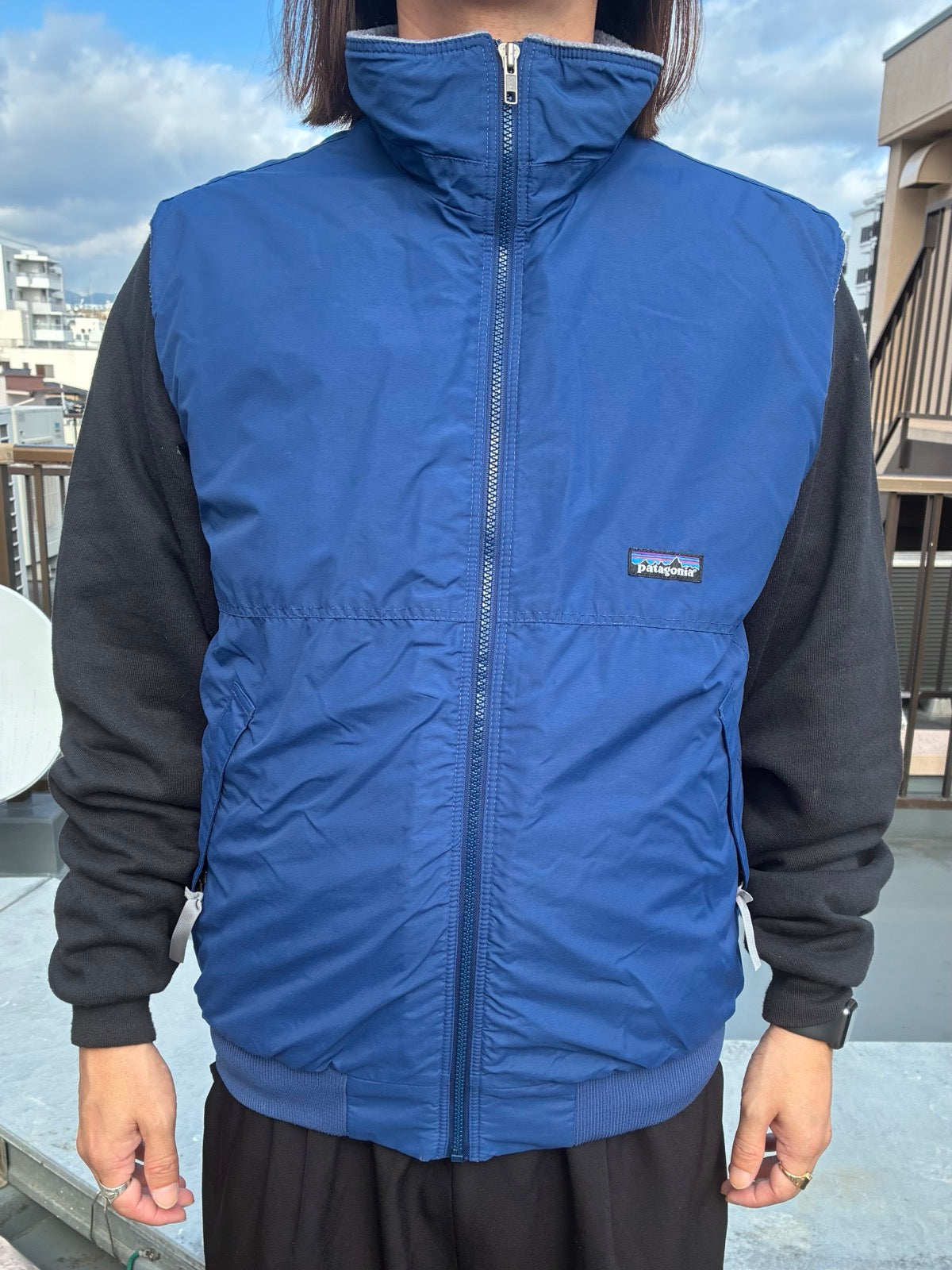 90's PATAGONIA「Shelled Synchilla」ベスト – FUJI STORE