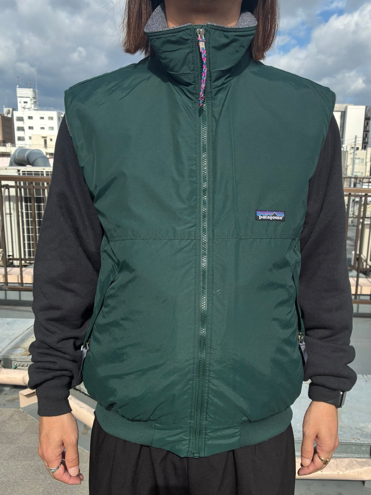90's PATAGONIA「Shelled Synchilla」ベスト – FUJI STORE