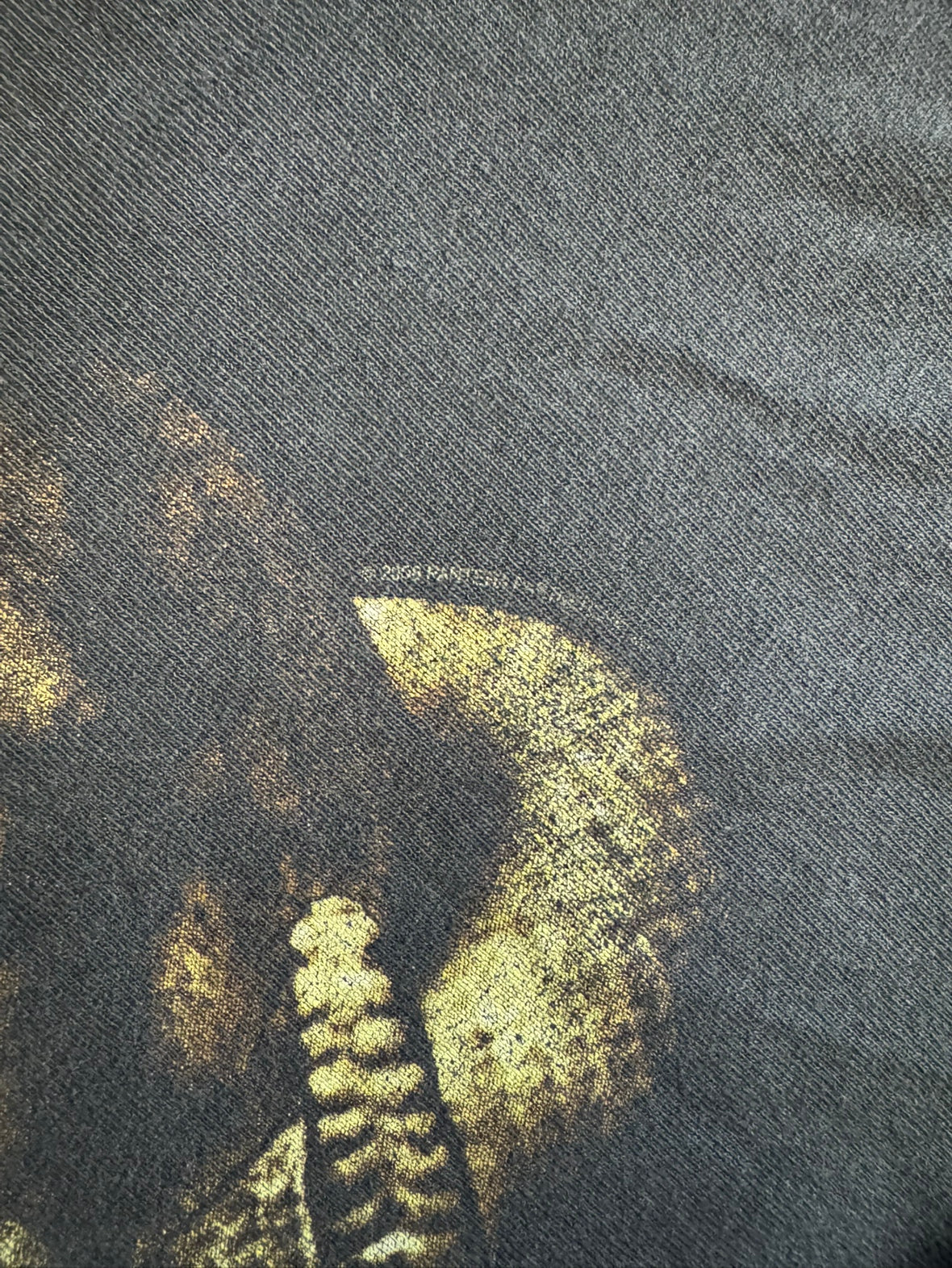 00's PANTERA「Rattlesnake Skull Trendkill」バンドTシャツ