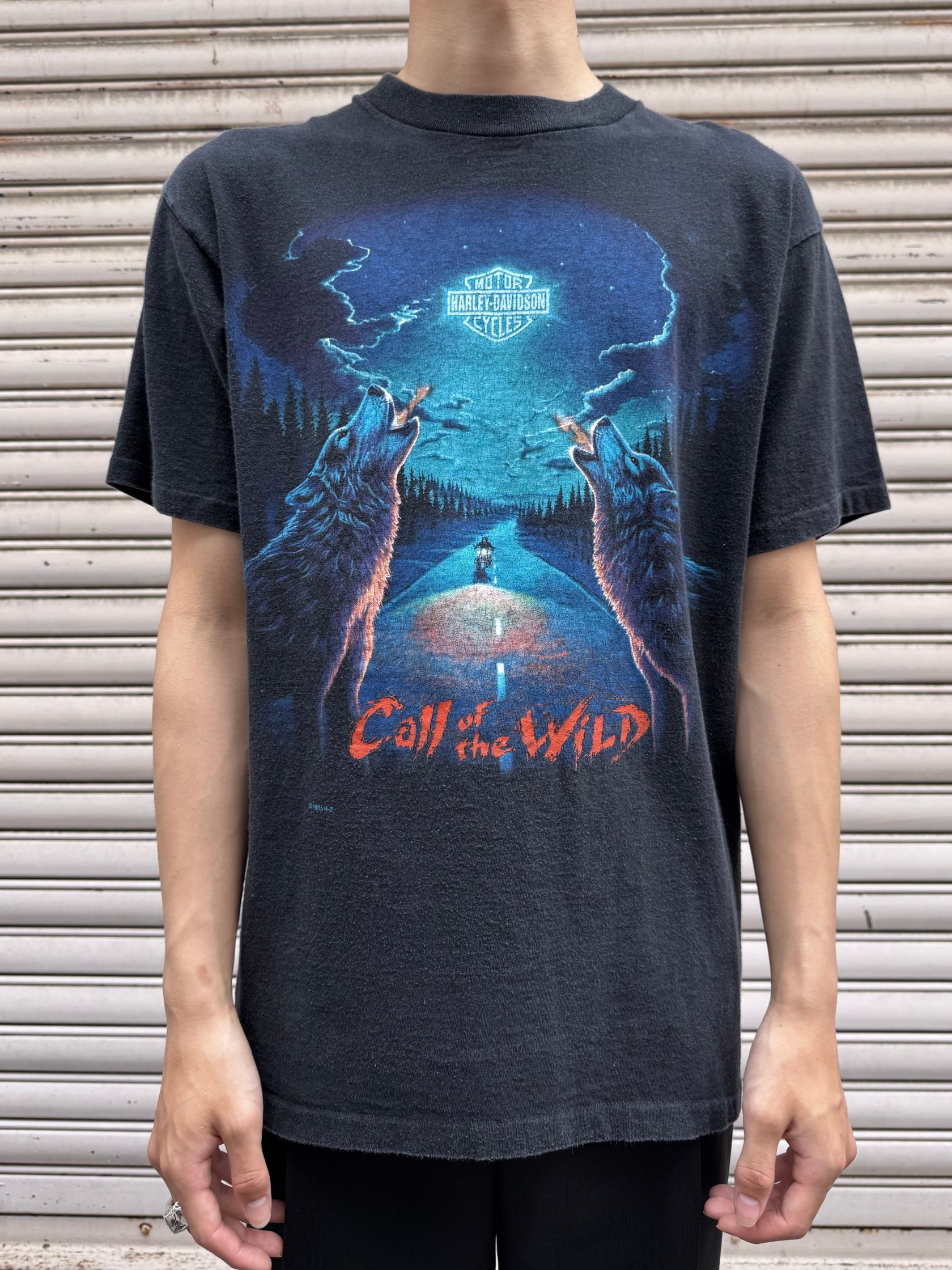 90's HARLEY-DAVIDSON「CALL OF THE WILD」USA製 ハーレーTシャツ