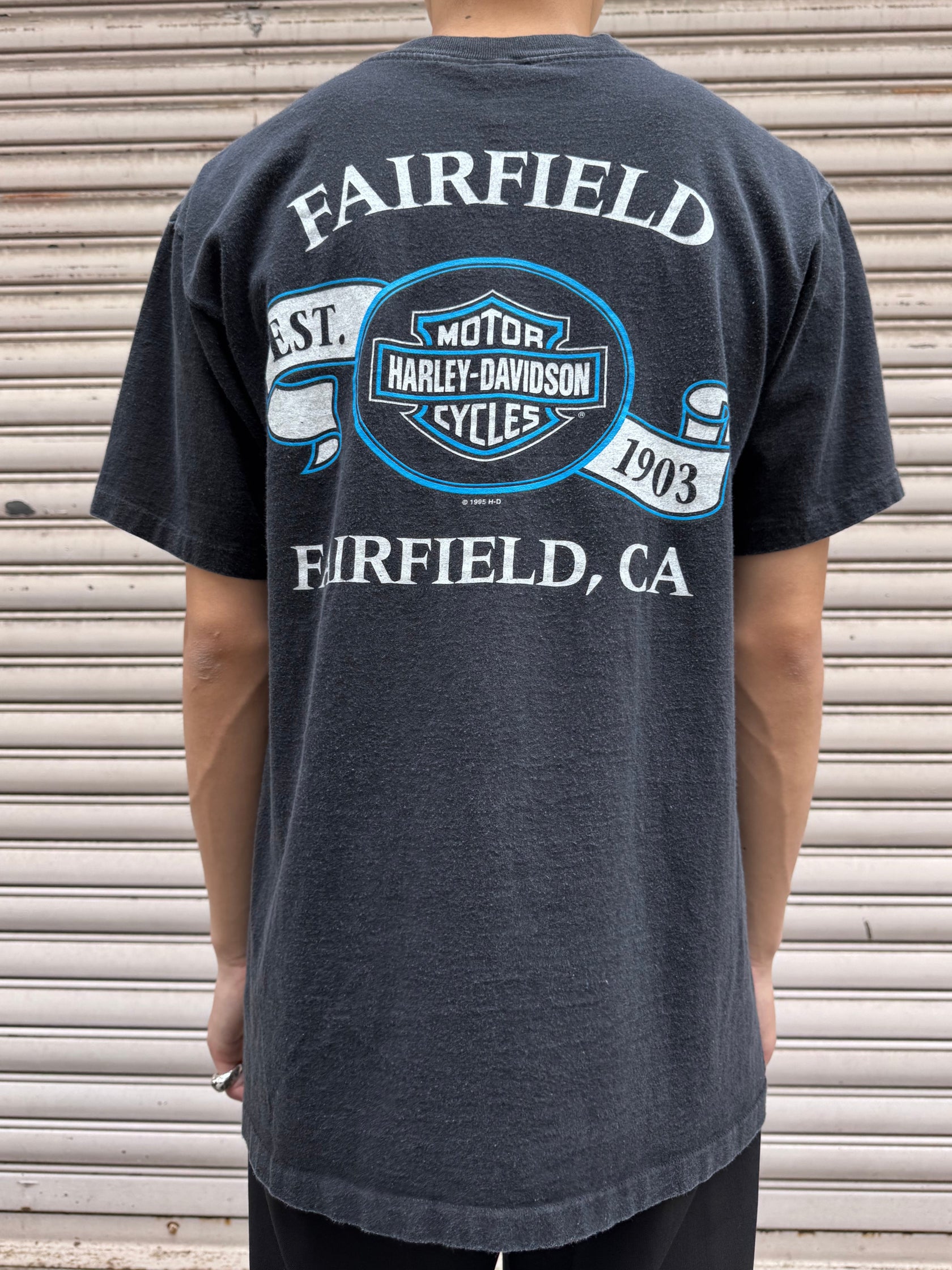 90's HARLEY-DAVIDSON「CALL OF THE WILD」USA製 ハーレーTシャツ