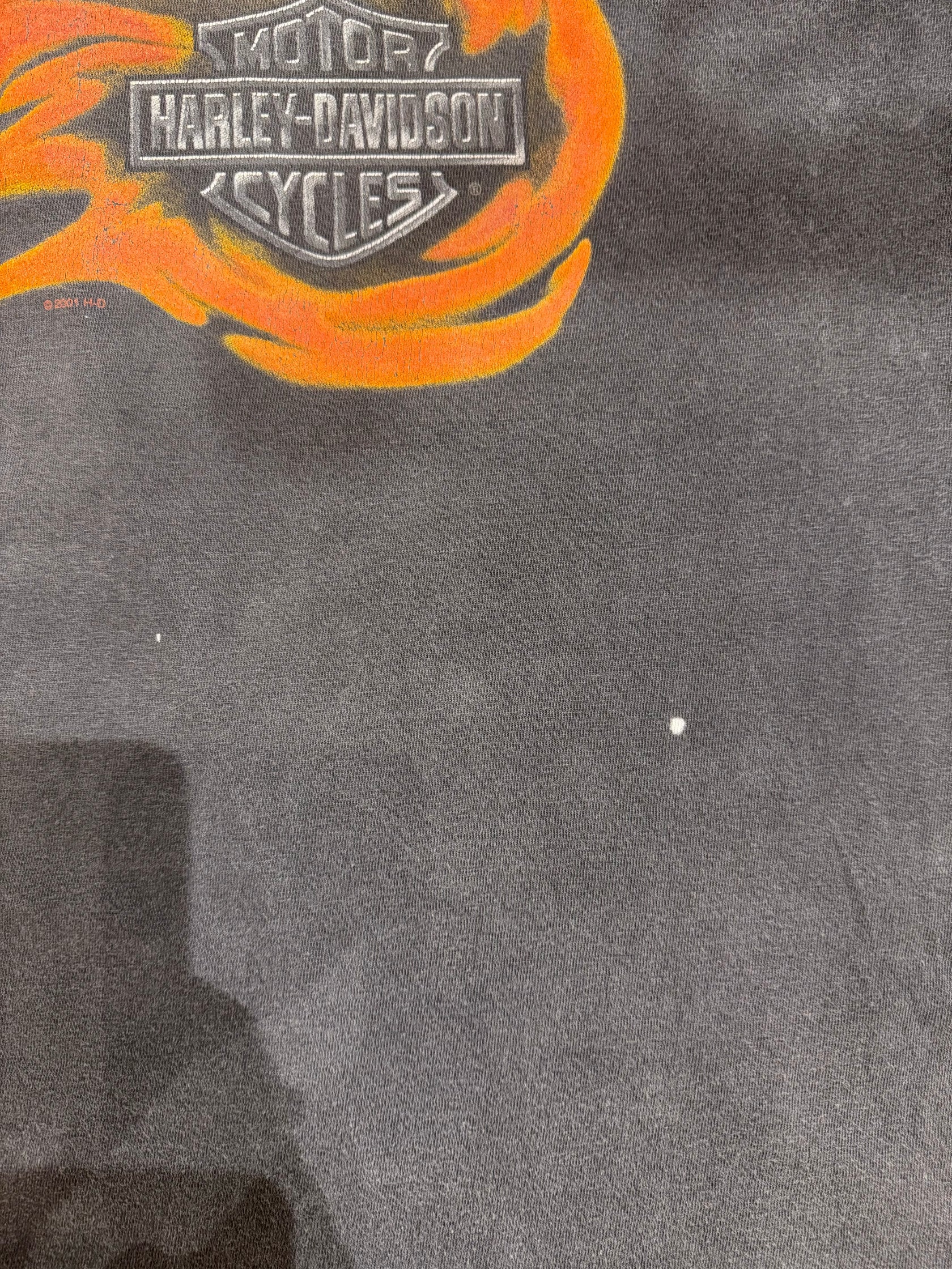 00's HARLEY-DAVIDSON「ROCKLIN CALIFORNIA」USA製 ハーレーTシャツ