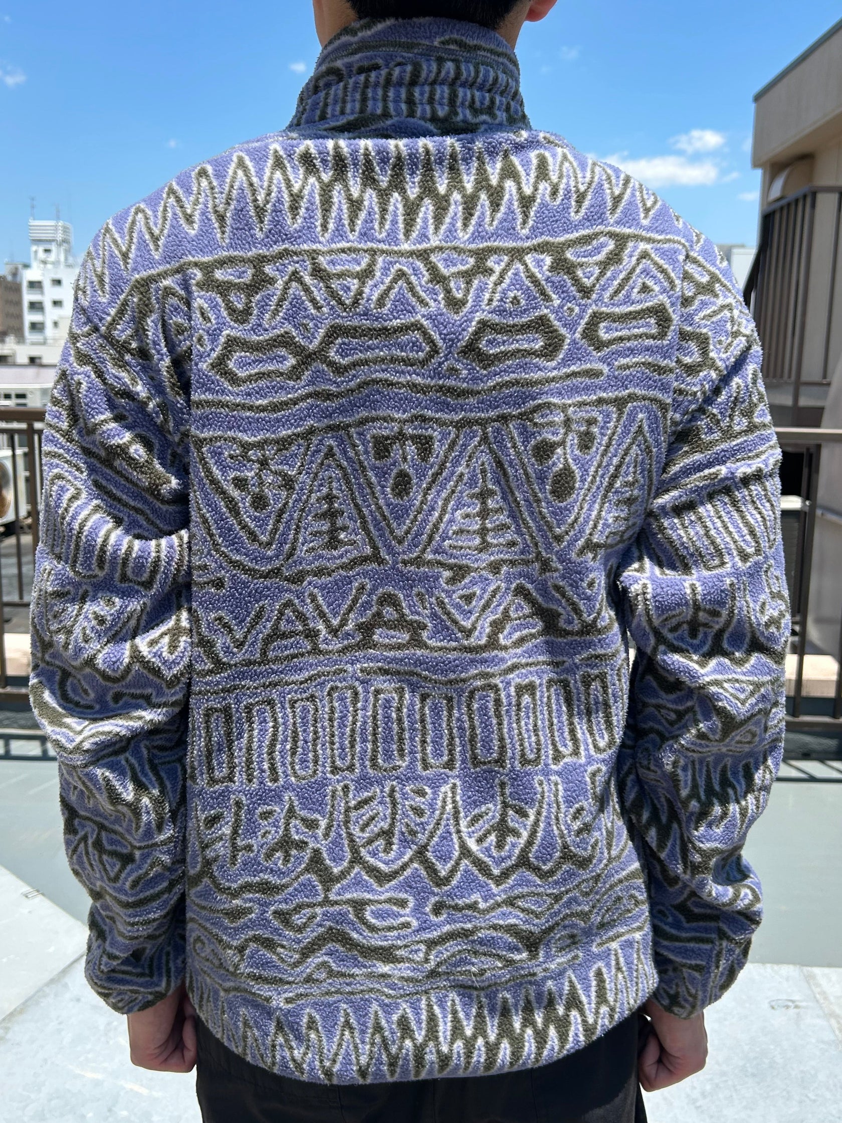 90's PATAGONIA「SnapT RUINS」フリースジャケット