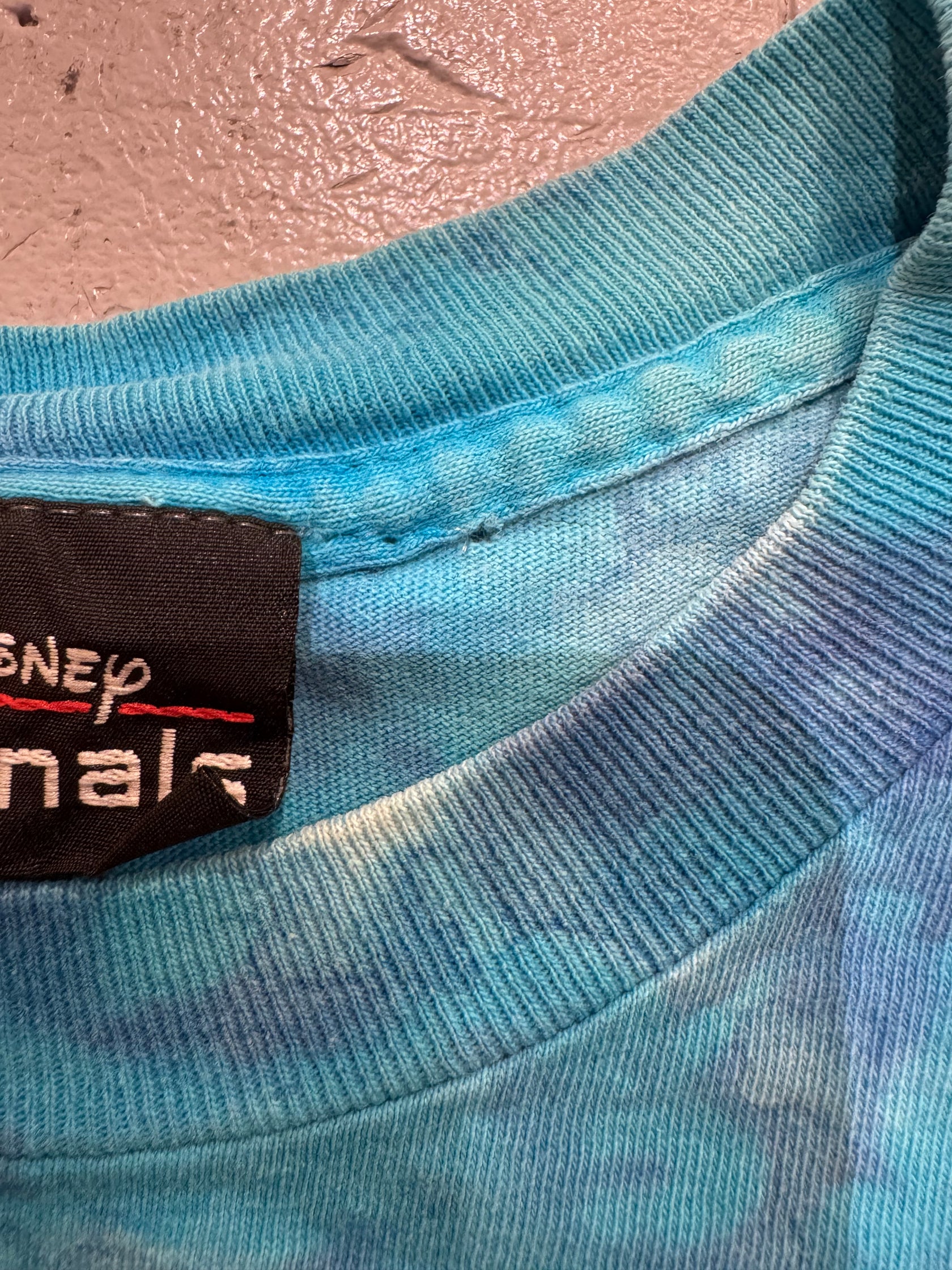 90's DISNEY 「Typhoon Lagoon」 キャラクターTシャツ