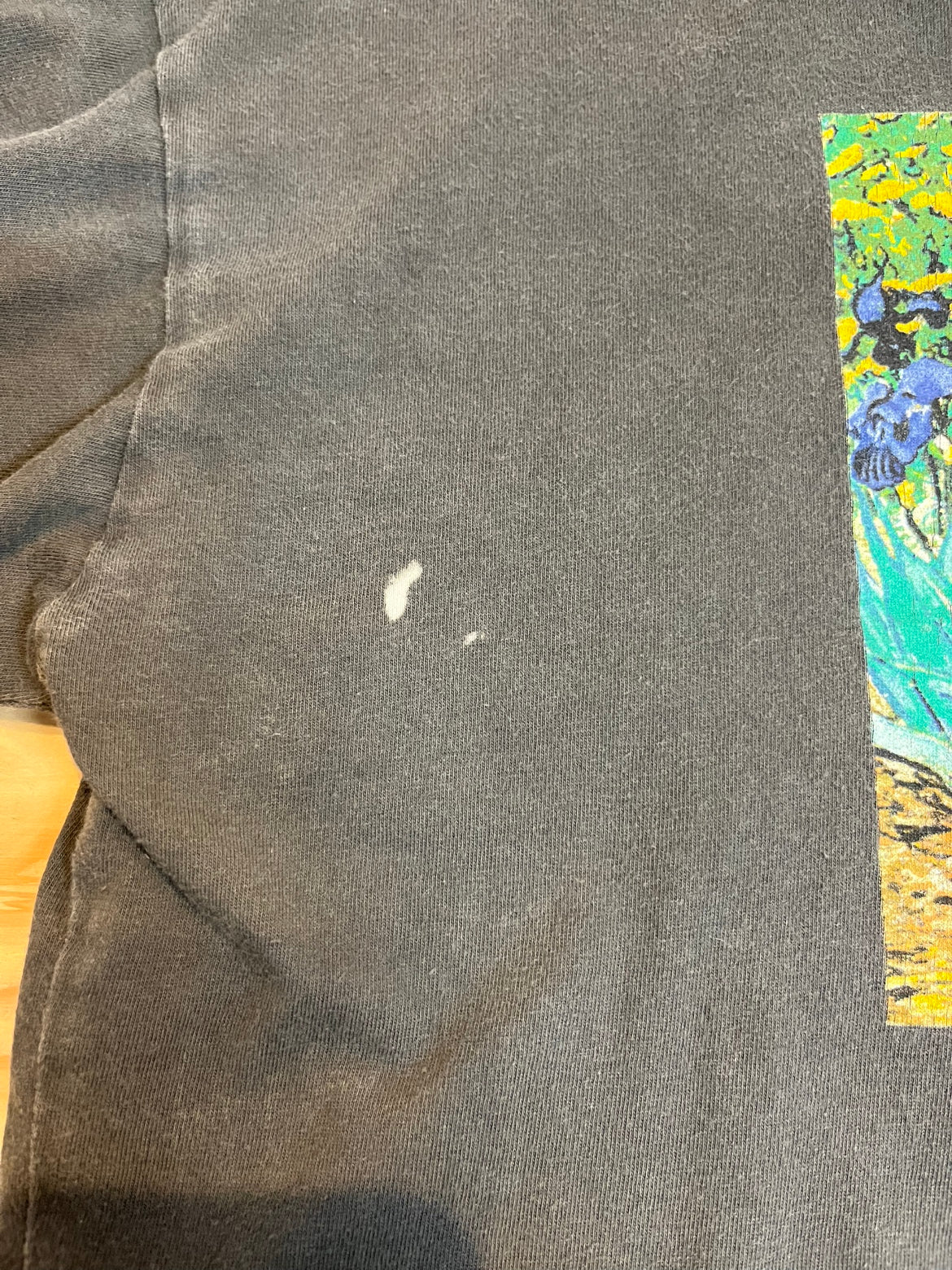 00's VINCENT VAN GOGH「Irises」アートTシャツ