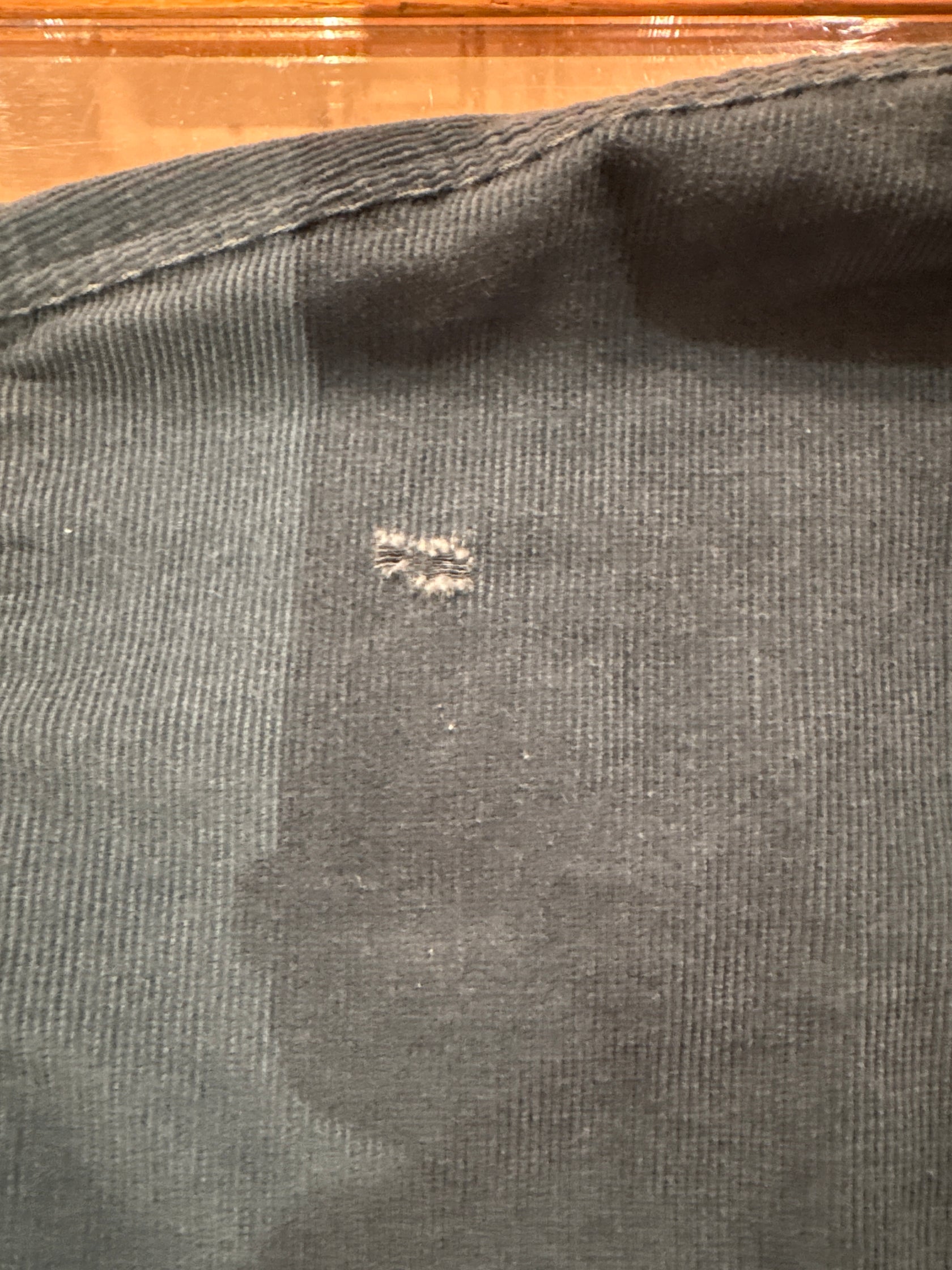 90's PATAGONIA「Corduroy Long Sleeve Shirt」雪なしタグ 長袖シャツ