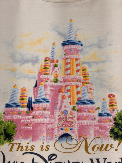 90's DISNEY「シンデレラ城」グラフィックTシャツ