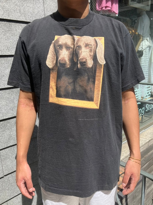 90's William Wegman「Framed」USA製 アートTシャツ