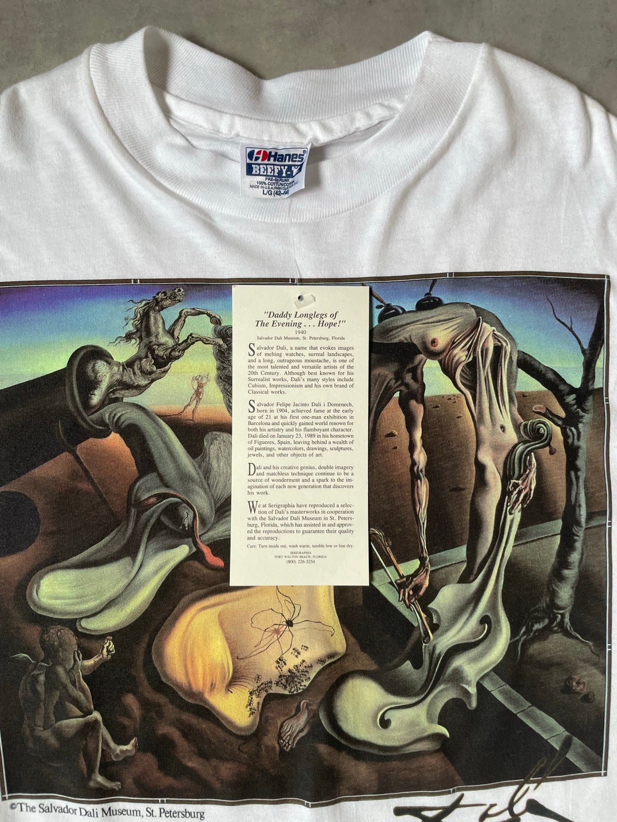 90's「夜のメクラグモ、希望」USA製 アートTシャツ