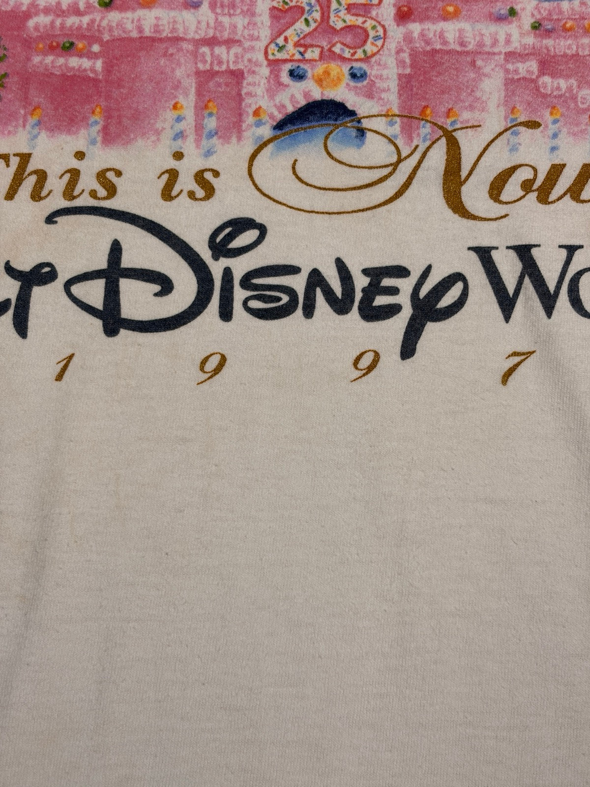 90's DISNEY「シンデレラ城」グラフィックTシャツ