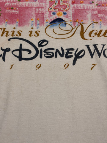 90's DISNEY「シンデレラ城」グラフィックTシャツ