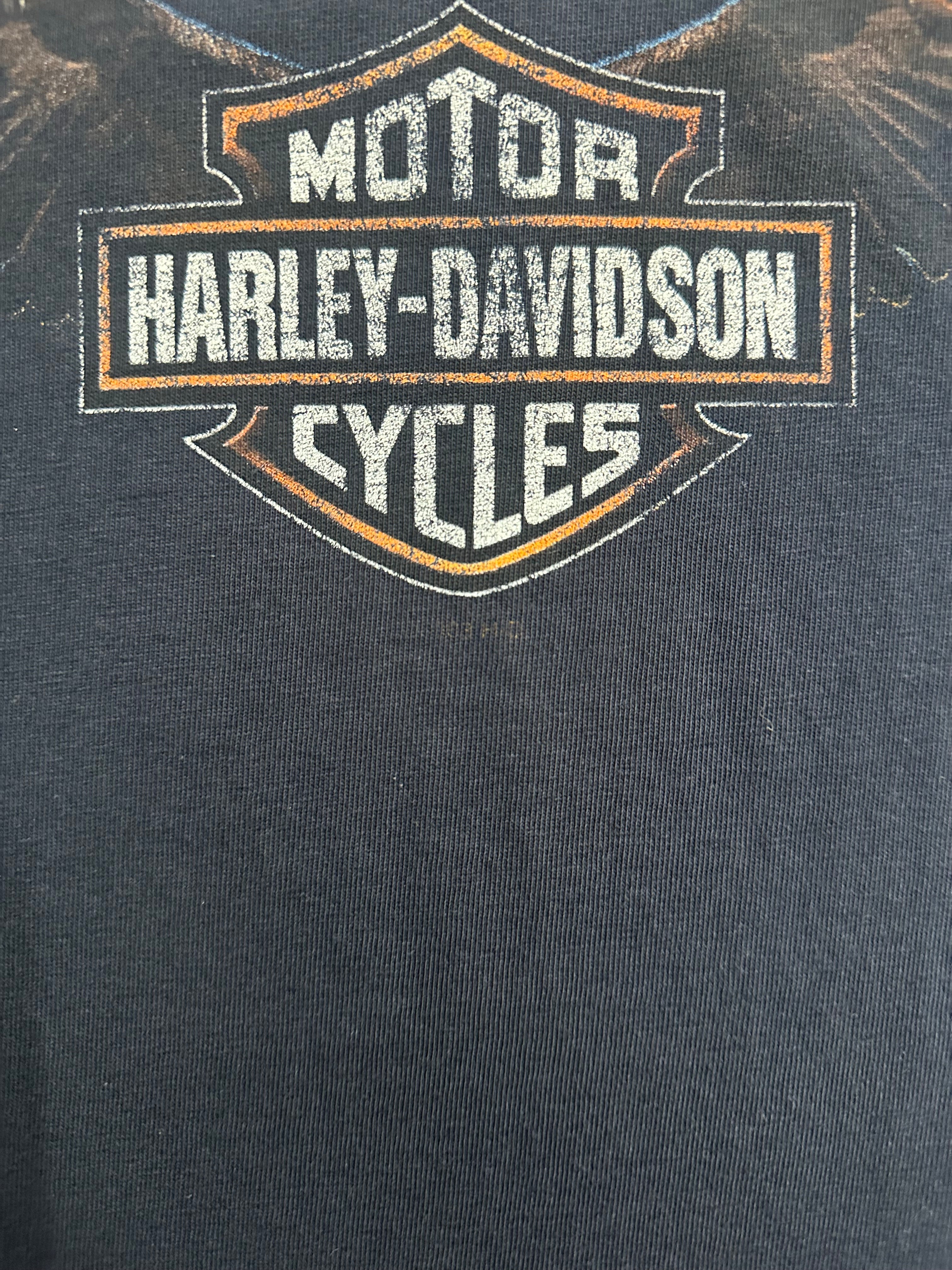 00's HARLEY-DAVIDSON「100YEARS」ハーレーダビッドソンTシャツ – FUJI