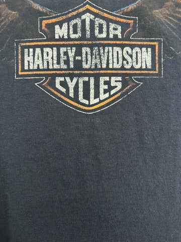 00's HARLEY-DAVIDSON「100YEARS」ハーレーダビッドソンTシャツ