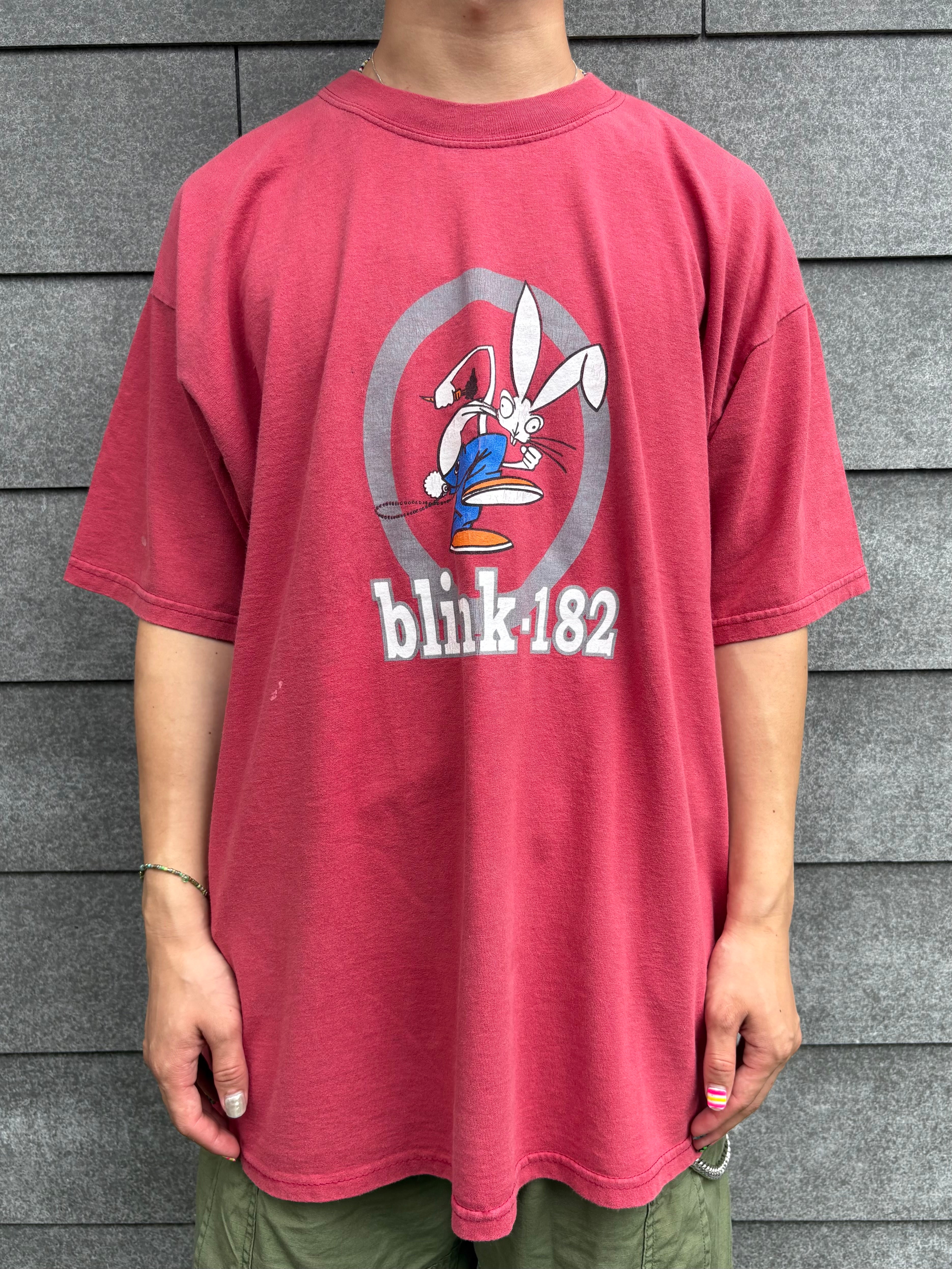 00's BLINK-182「ROGER RABBIT」バンドTシャツ – FUJI STORE