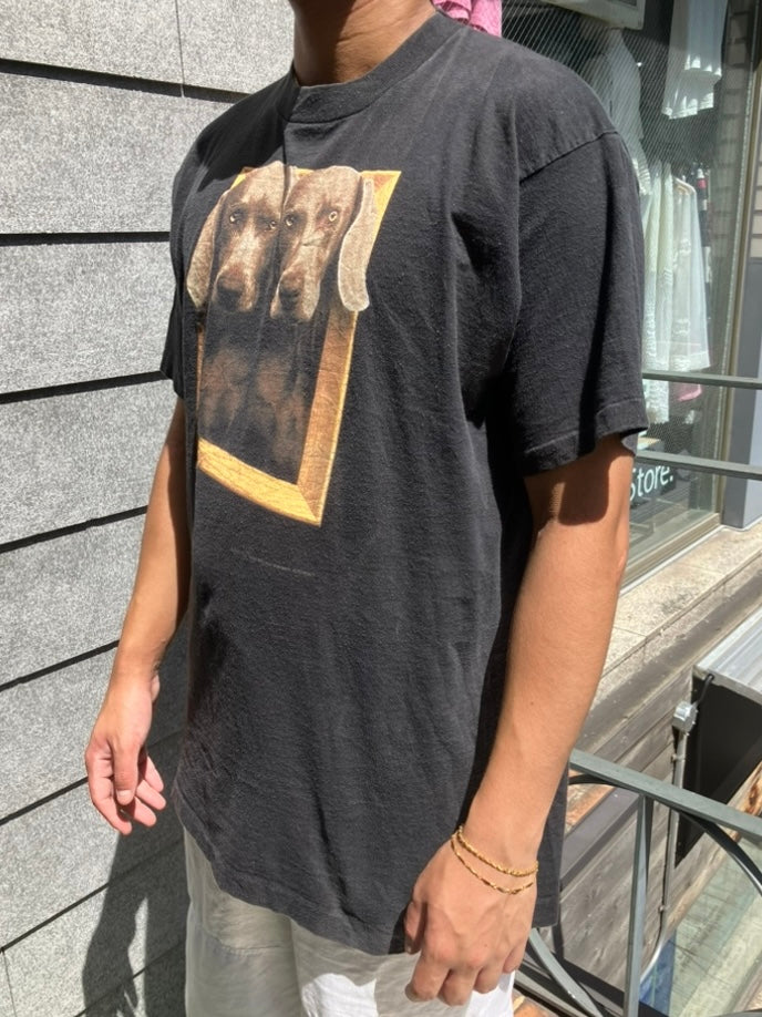 90's William Wegman「Framed」USA製 アートTシャツ