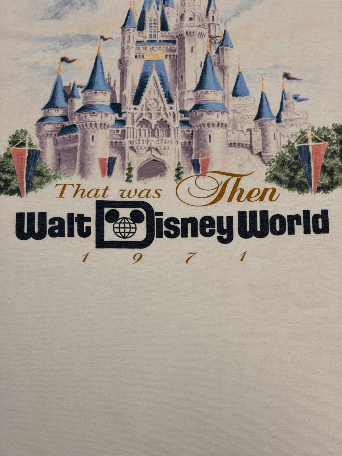 90's DISNEY「シンデレラ城」グラフィックTシャツ – FUJI STORE(フジ