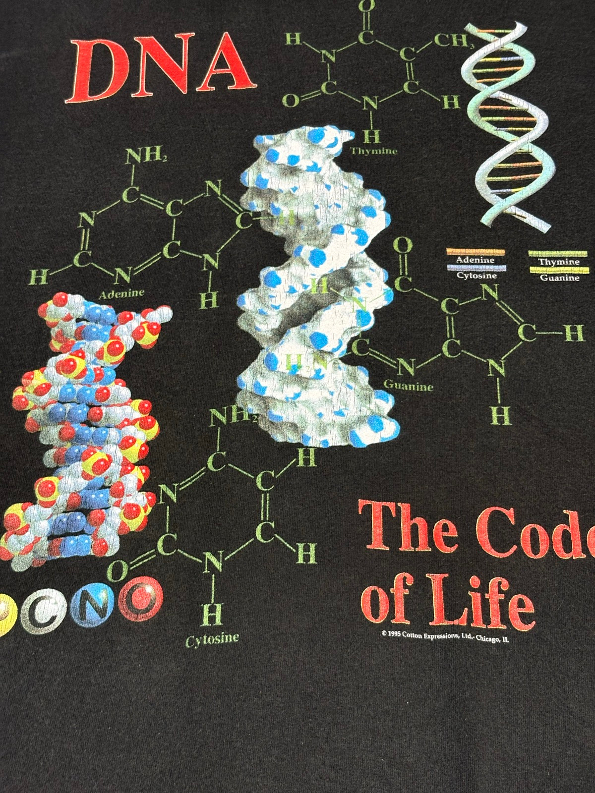90's DNA「The Code of Life」USA製 サイエンスTシャツ