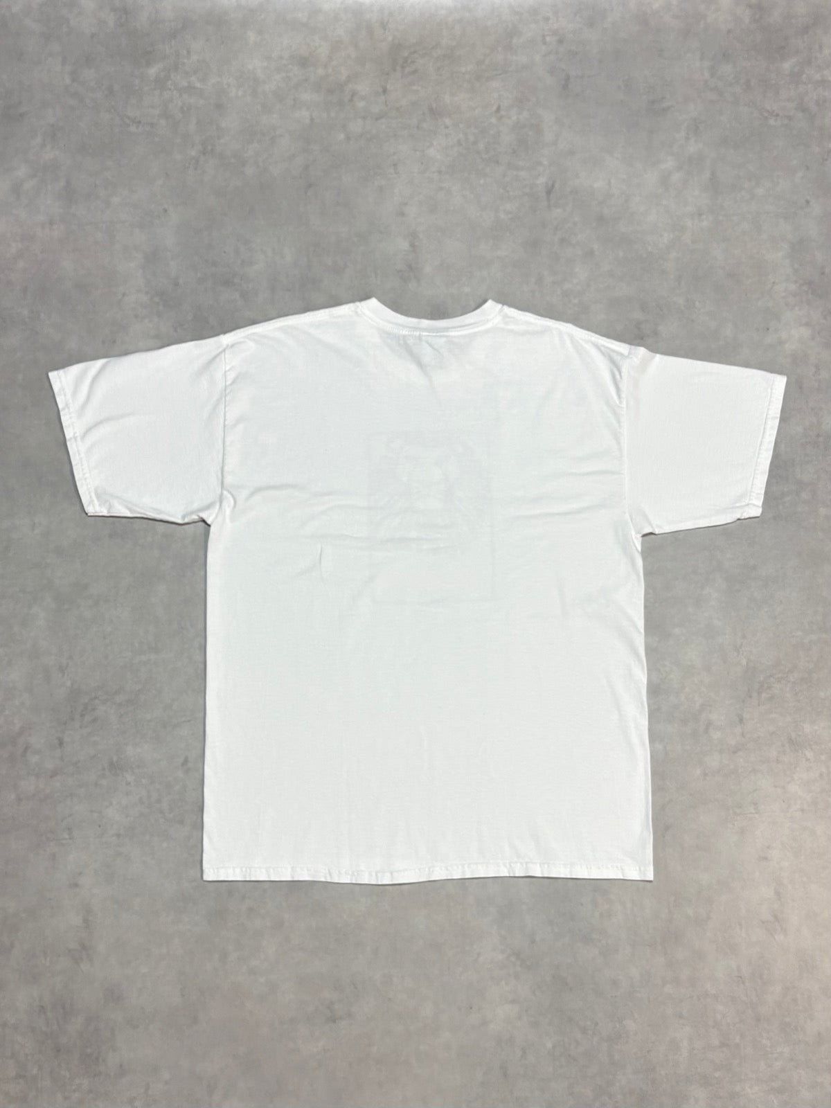 00's DISNEY「THE LION KING THE BROADWAY MUSICAL」キャラクターTシャツ