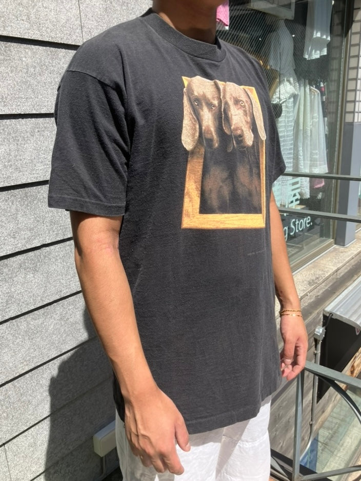90's William Wegman「Framed」USA製 アートTシャツ