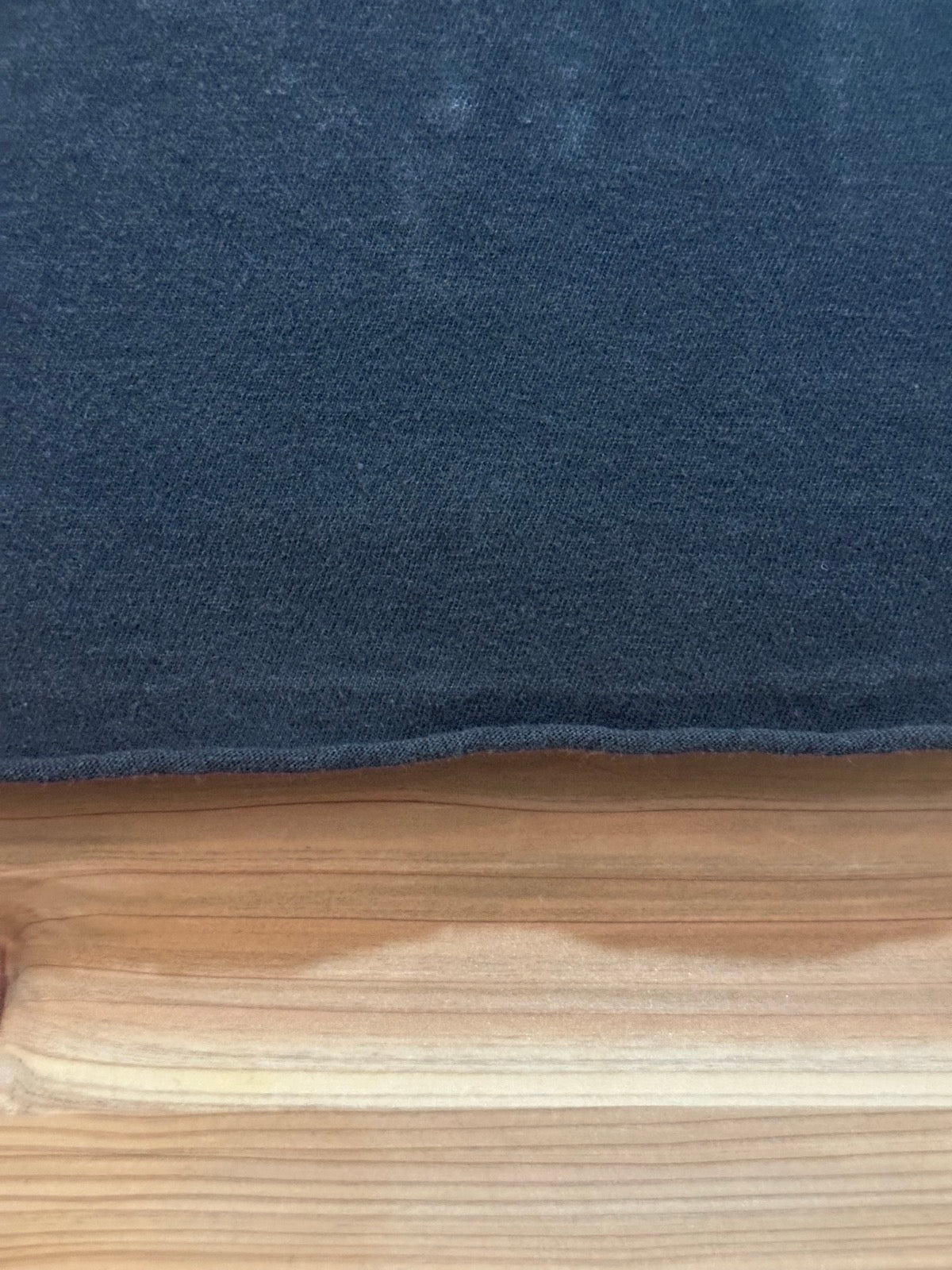 00's LIMP BIZKIT「Gold Cobra」バンドTシャツ