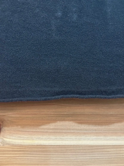 00's LIMP BIZKIT「Gold Cobra」バンドTシャツ