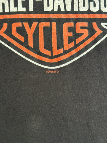 00's HARLEY-DAVIDSON ハーレーダビッドソンTシャツ