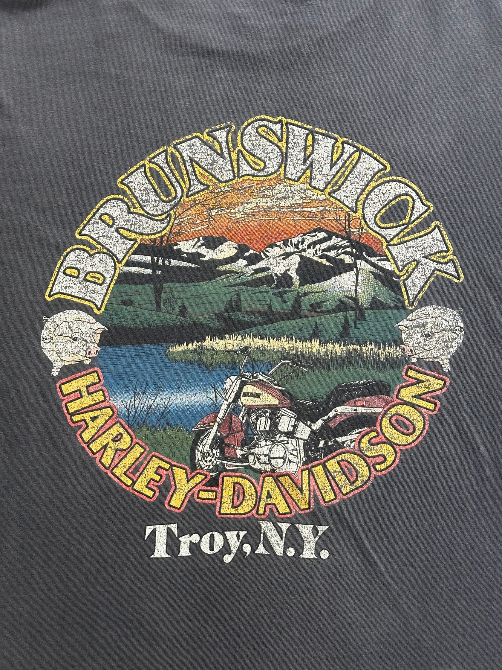 90's HARLEY-DAVIDSON「BRUNSWICK」USA製 ハーレーダビッドソンTシャツ