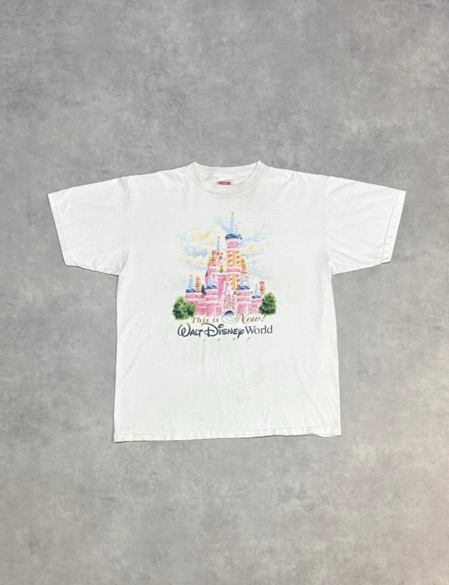 90s Walt Disney World シンデレラ城 Tシャツ ディズニー 90's DISNEY「シンデレラ城」グラフィックTシャツ – FUJI STORE