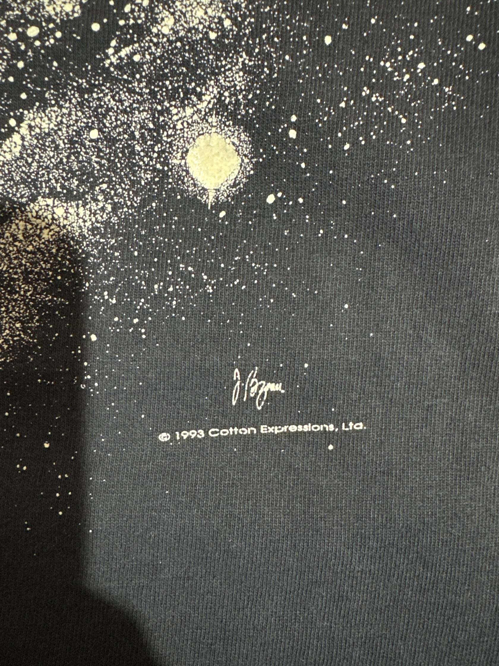 90's「Albert Einstein」USA製 グラフィックTシャツ