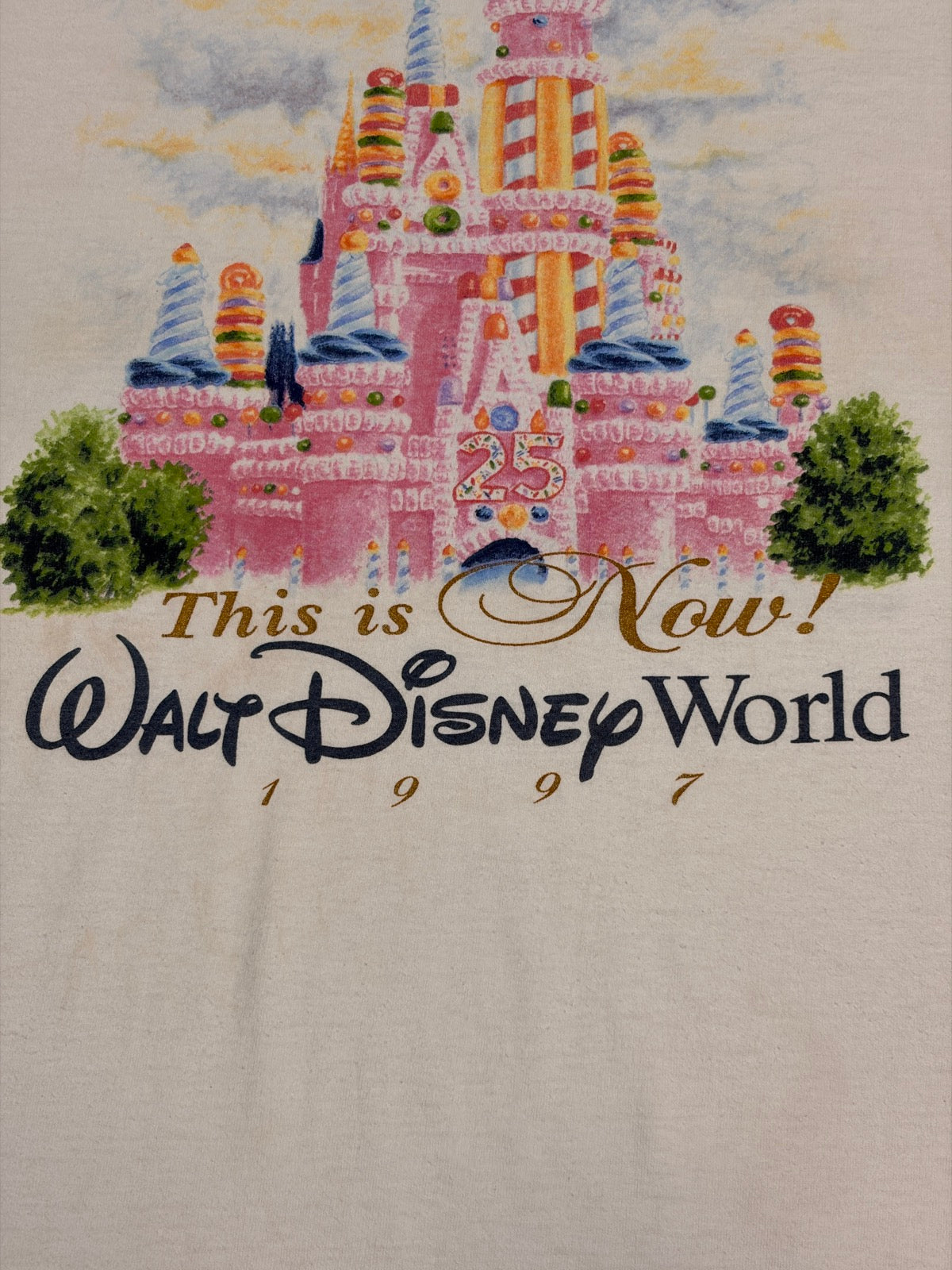 90's DISNEY「シンデレラ城」グラフィックTシャツ – FUJI STORE(フジ