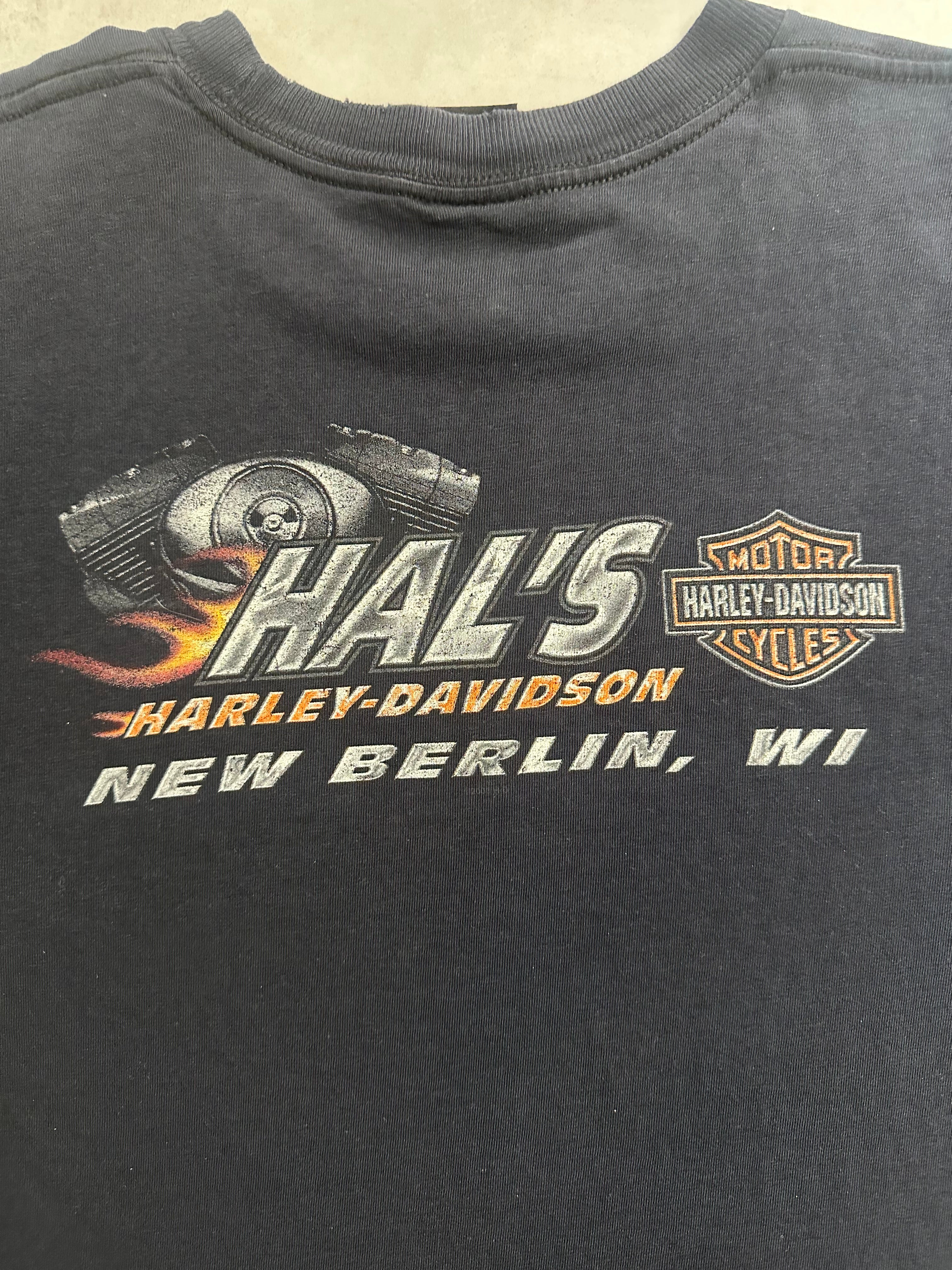 00's HARLEY-DAVIDSON「100YEARS」ハーレーダビッドソンTシャツ – FUJI