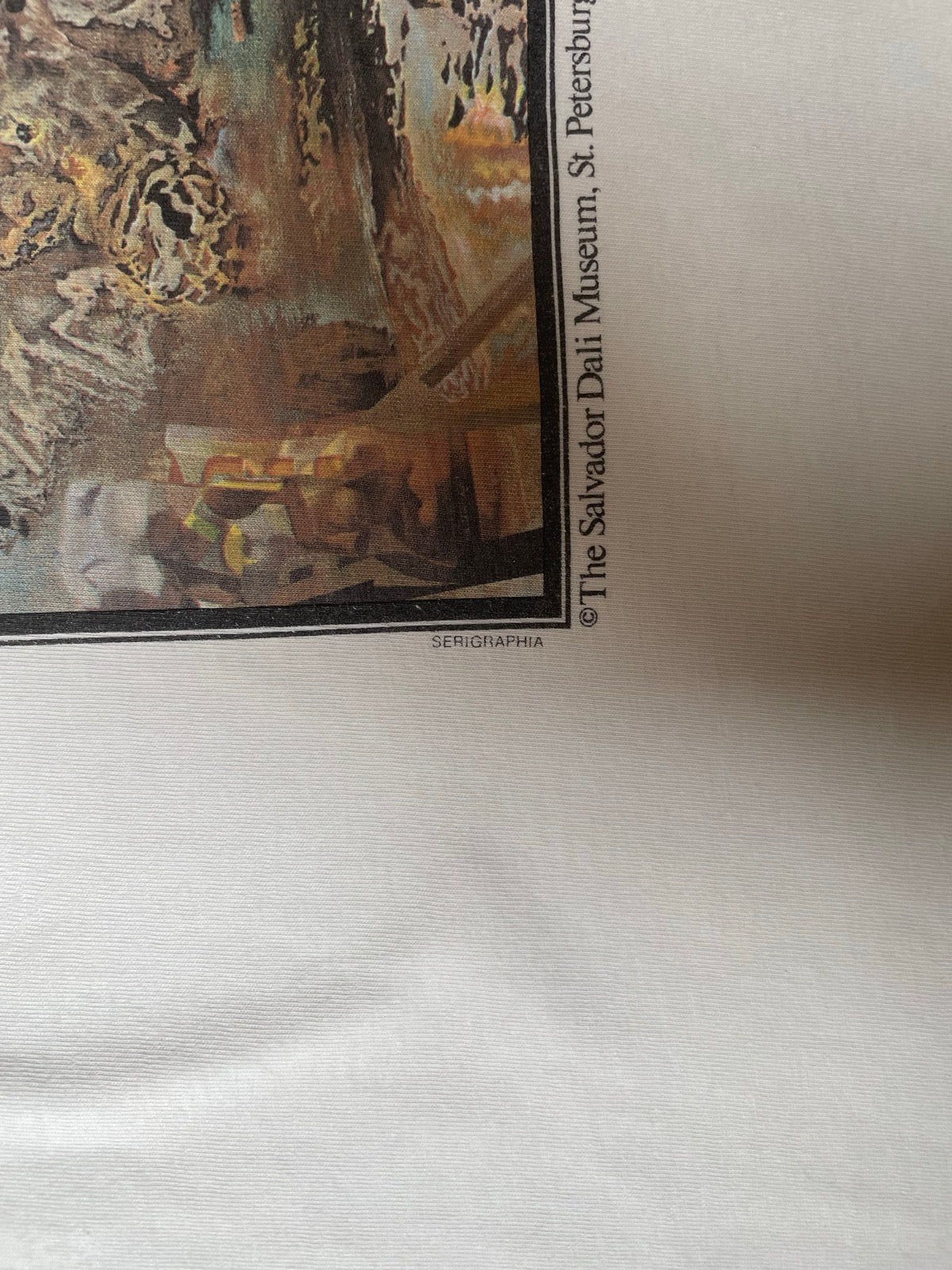 90's「幻覚剤的闘牛士」USA製 アートTシャツ