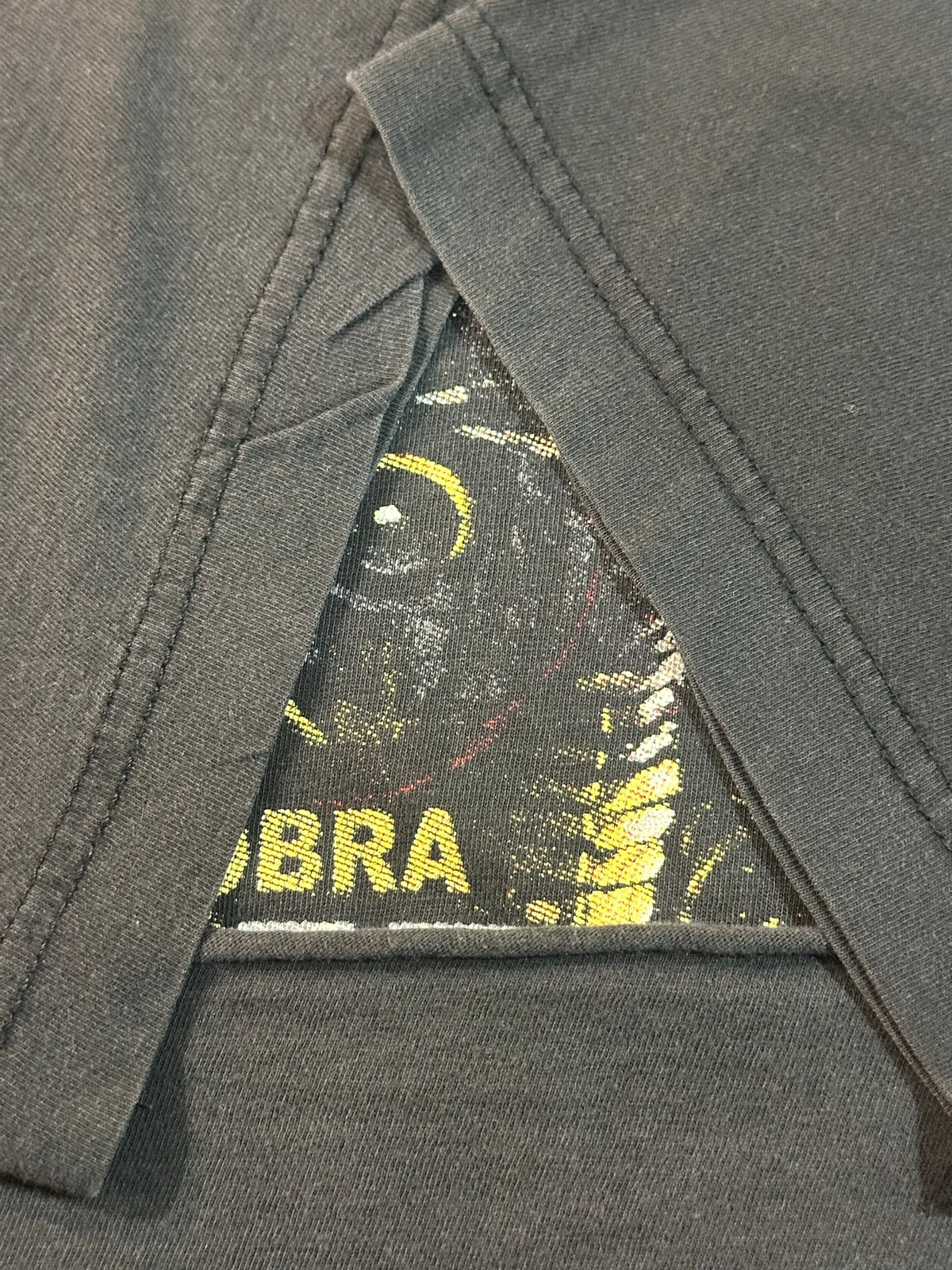 00's LIMP BIZKIT「Gold Cobra」バンドTシャツ