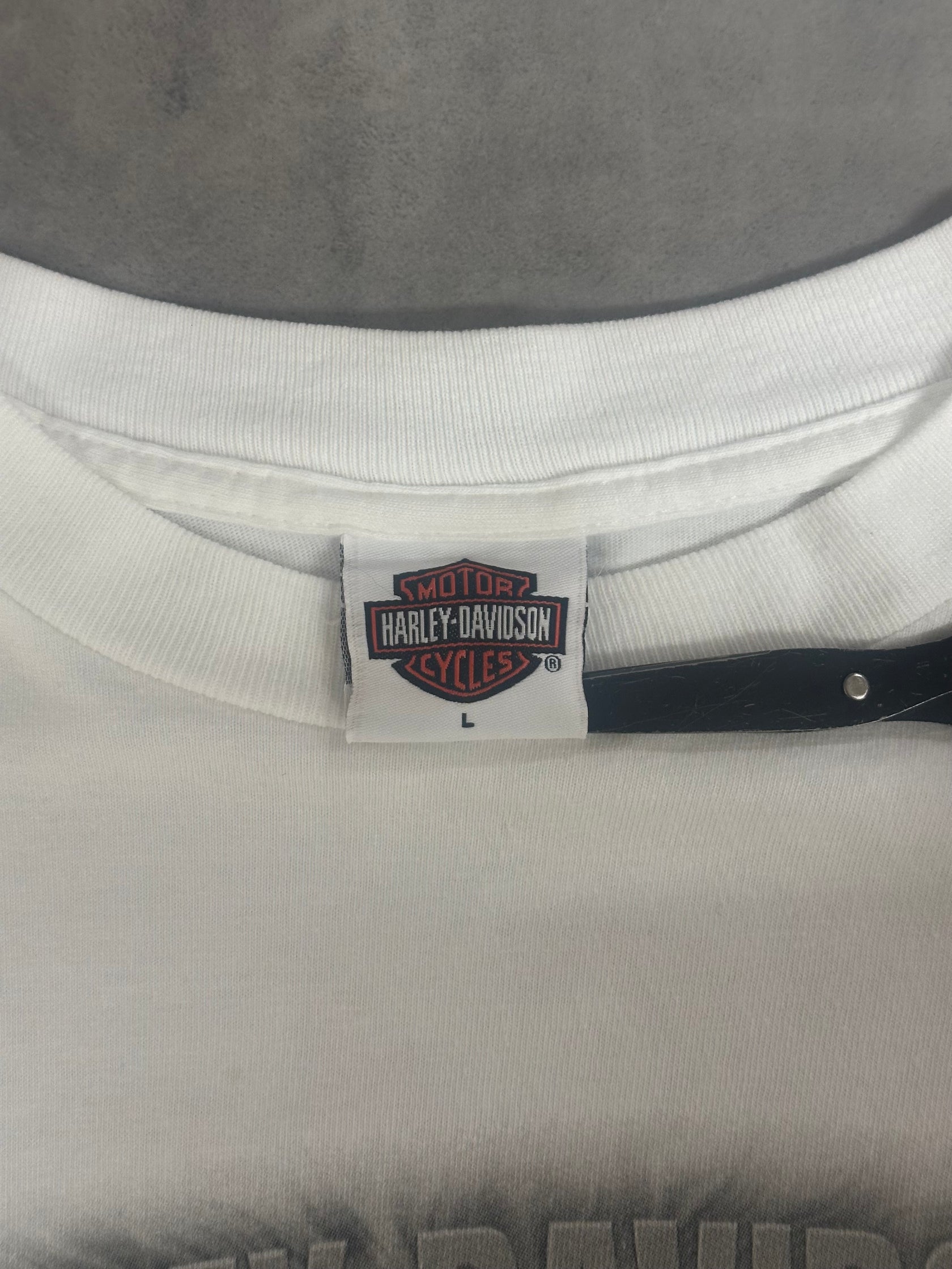 00's HARLEY DAVIDSON「eagle」ハーレーロングTシャツ