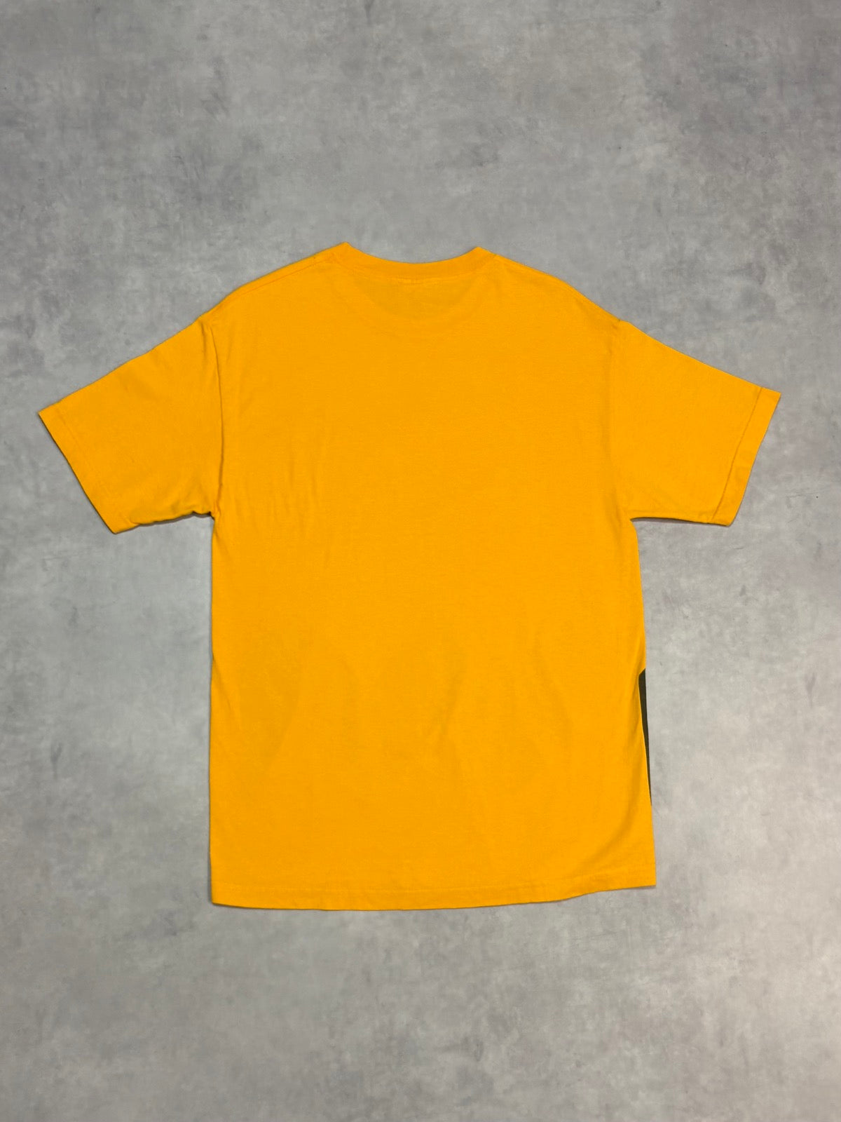 00's PEANUTS「CHARLIE BROWN」キャラクターTシャツ