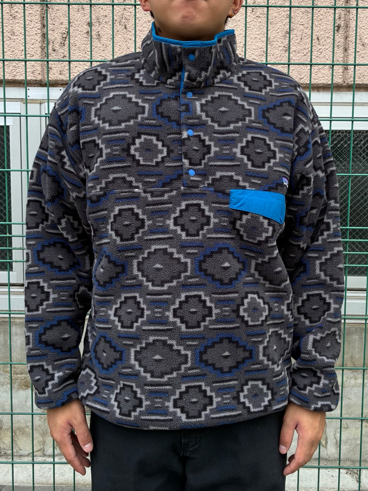 10's PATAGONIA Synchilla Snap-T「ヤナバ柄」フリースプルオーバー